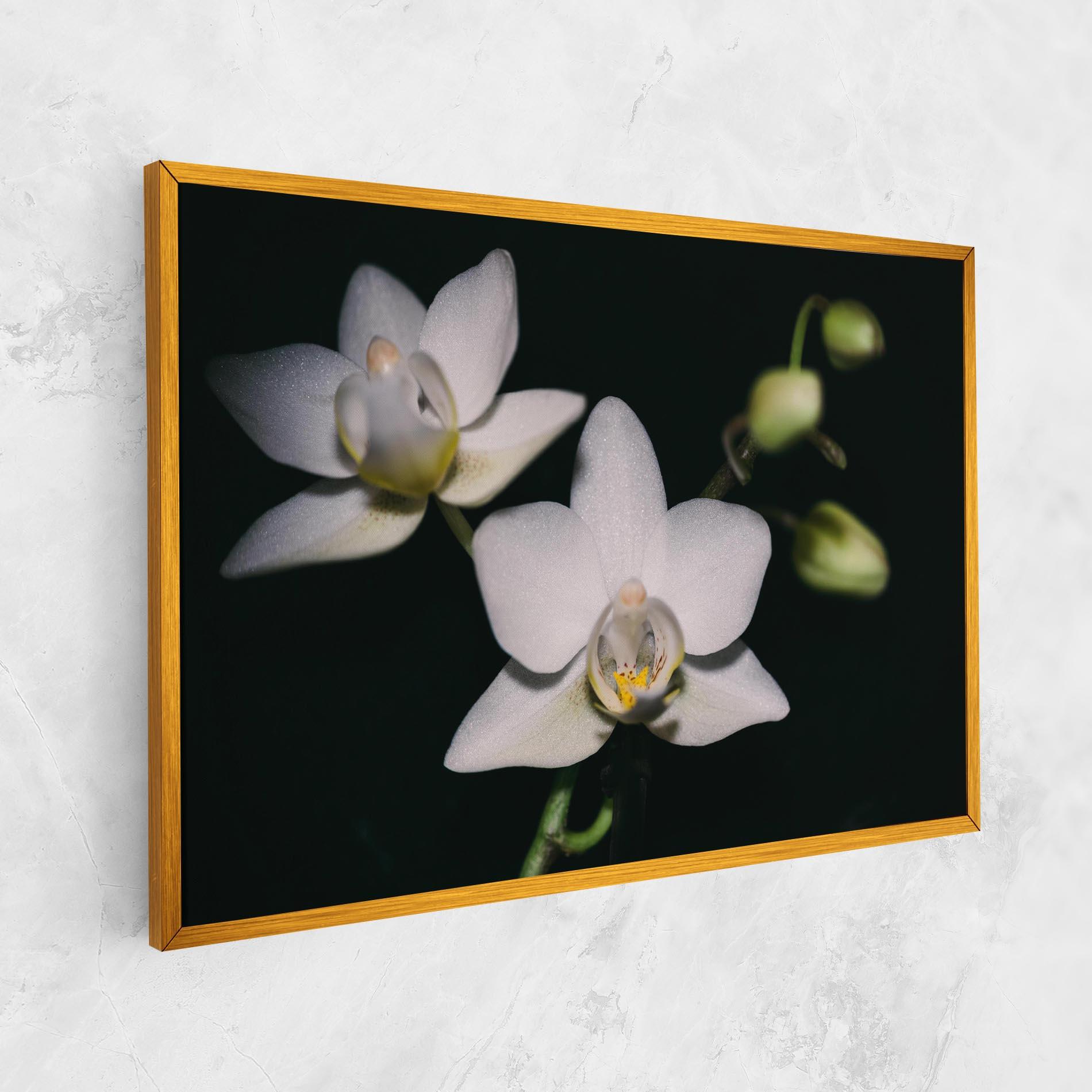 Tablou Canvas Orchids On Black mockup 1