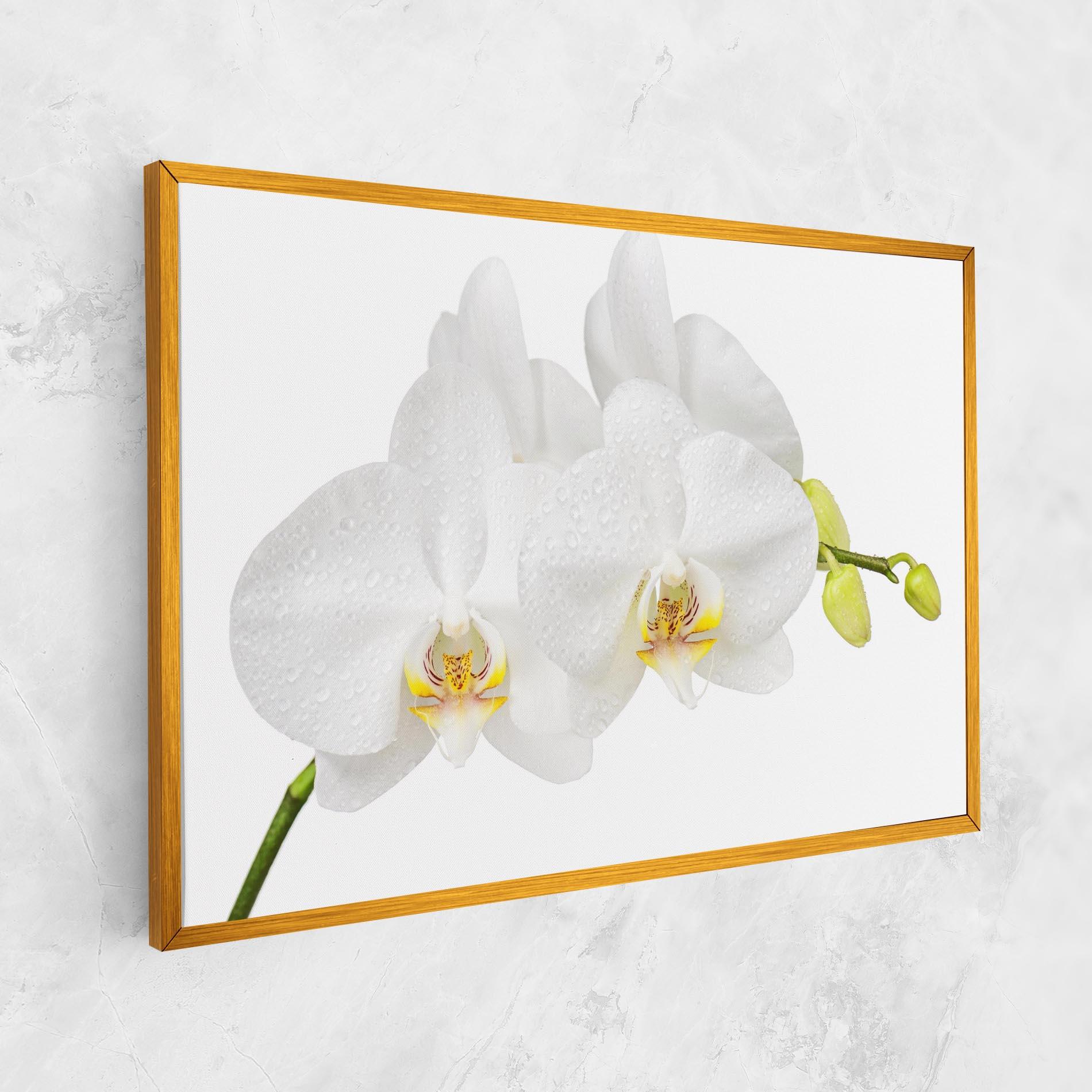 Tablou Canvas Orchids On White mockup 1