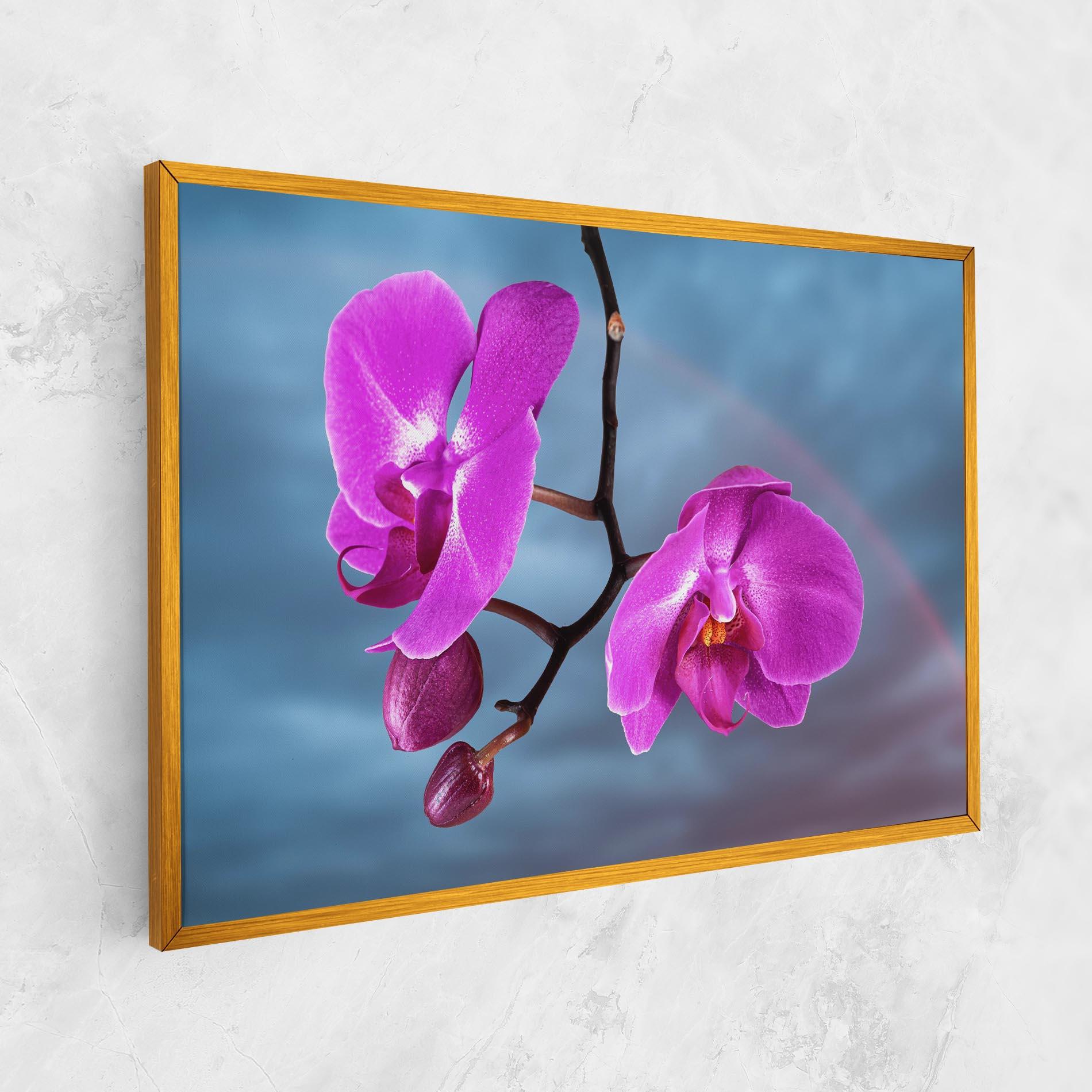 Tablou Canvas Sky Purple Orchid mockup 1