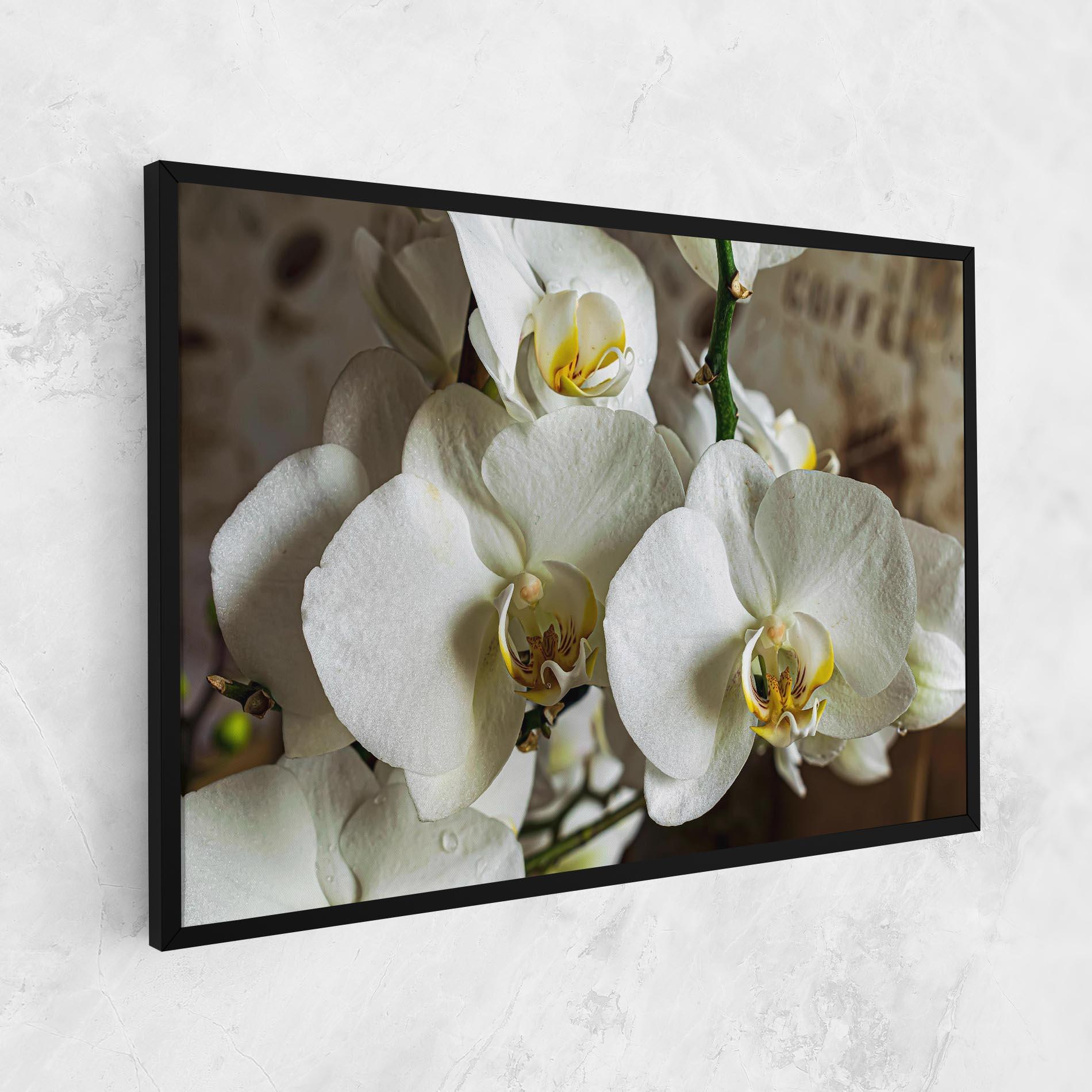 Tablou Canvas Beautiful White Orchids mockup 1