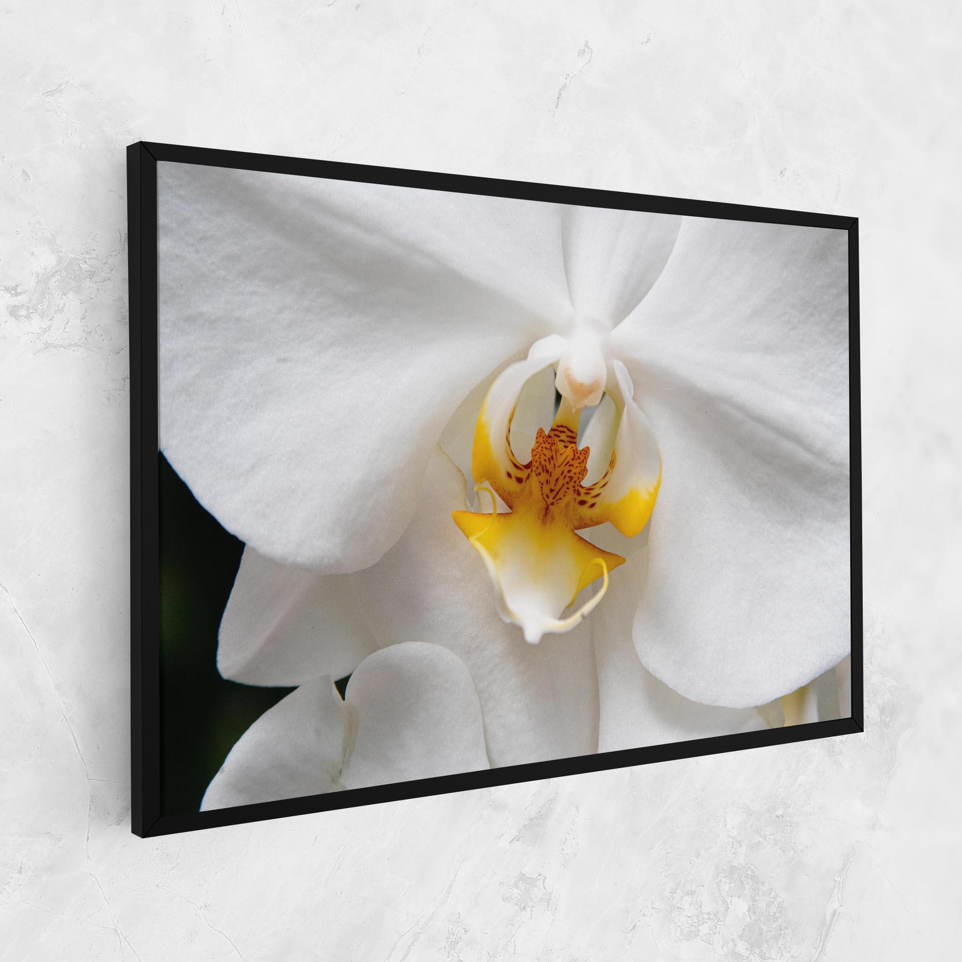 Tablou Canvas Big Orchid Close Up mockup 1