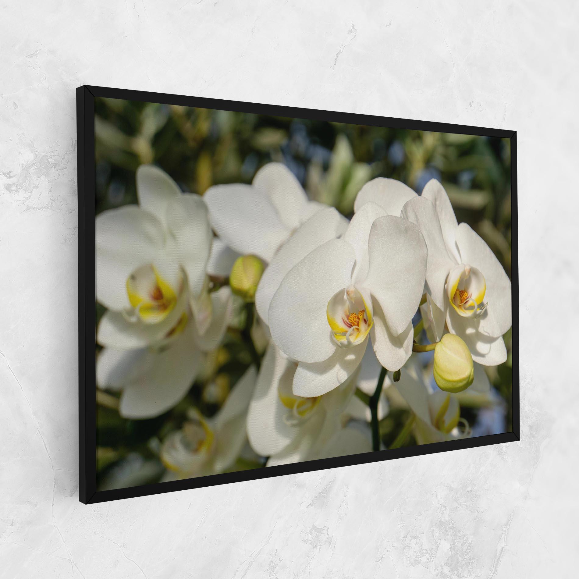 Tablou Canvas Big Orchids In Nature mockup 1