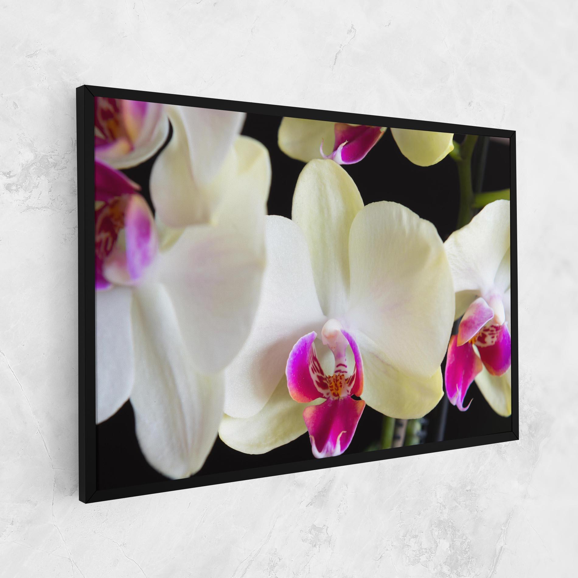 Tablou Canvas Cream Purple Orchids mockup 1