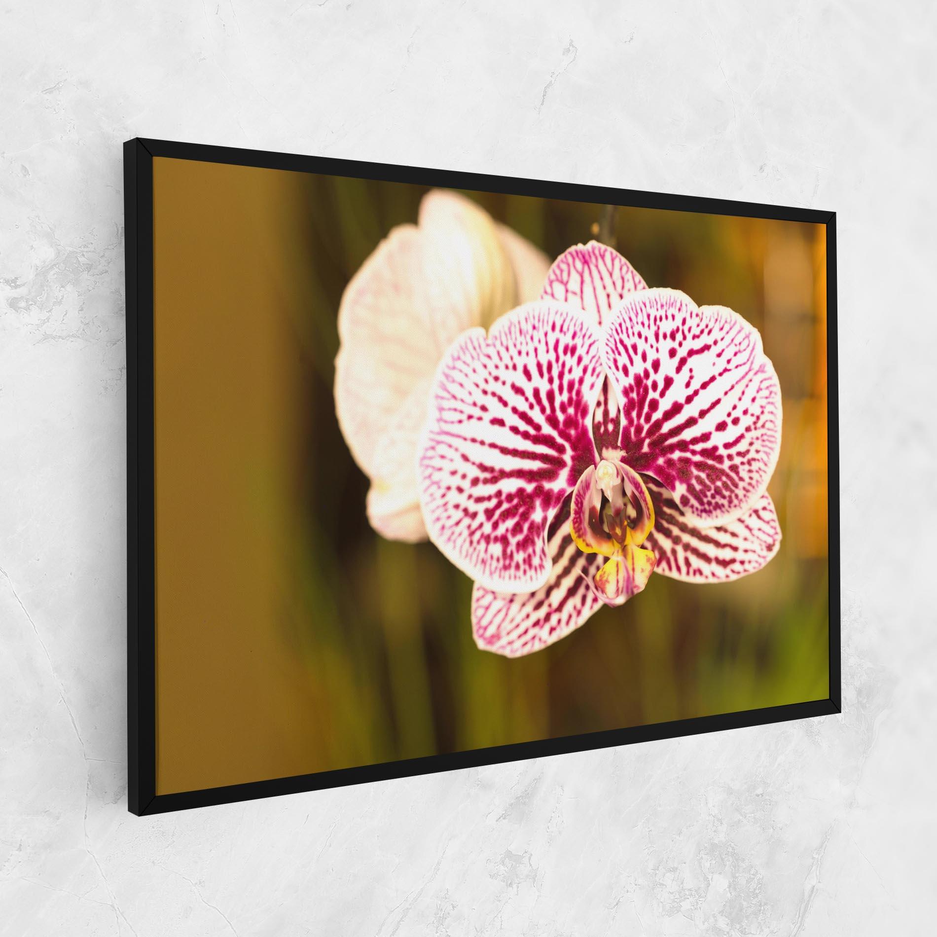 Tablou Canvas Garden Orchids mockup 1