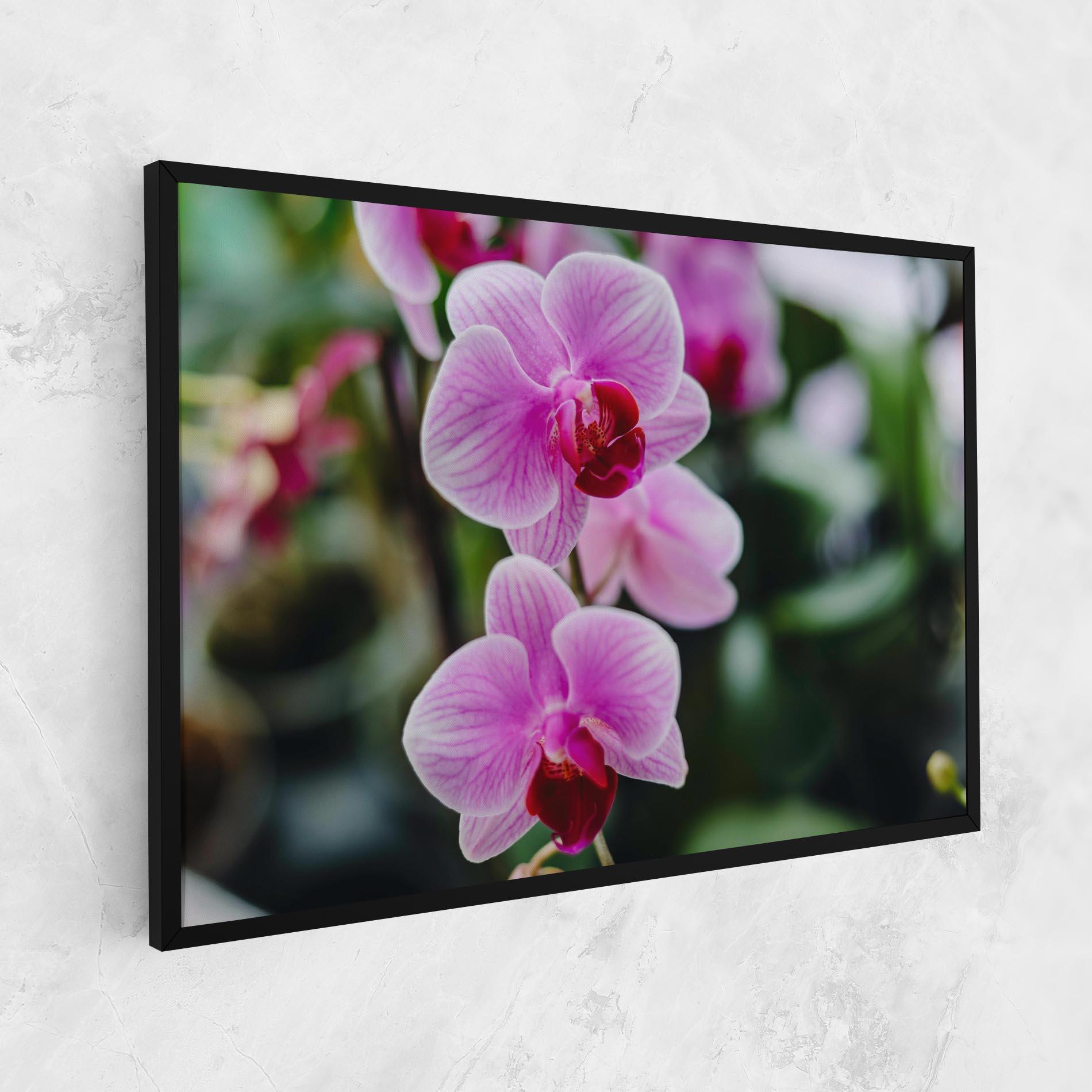 Tablou Canvas Garden Purple Orchids mockup 1