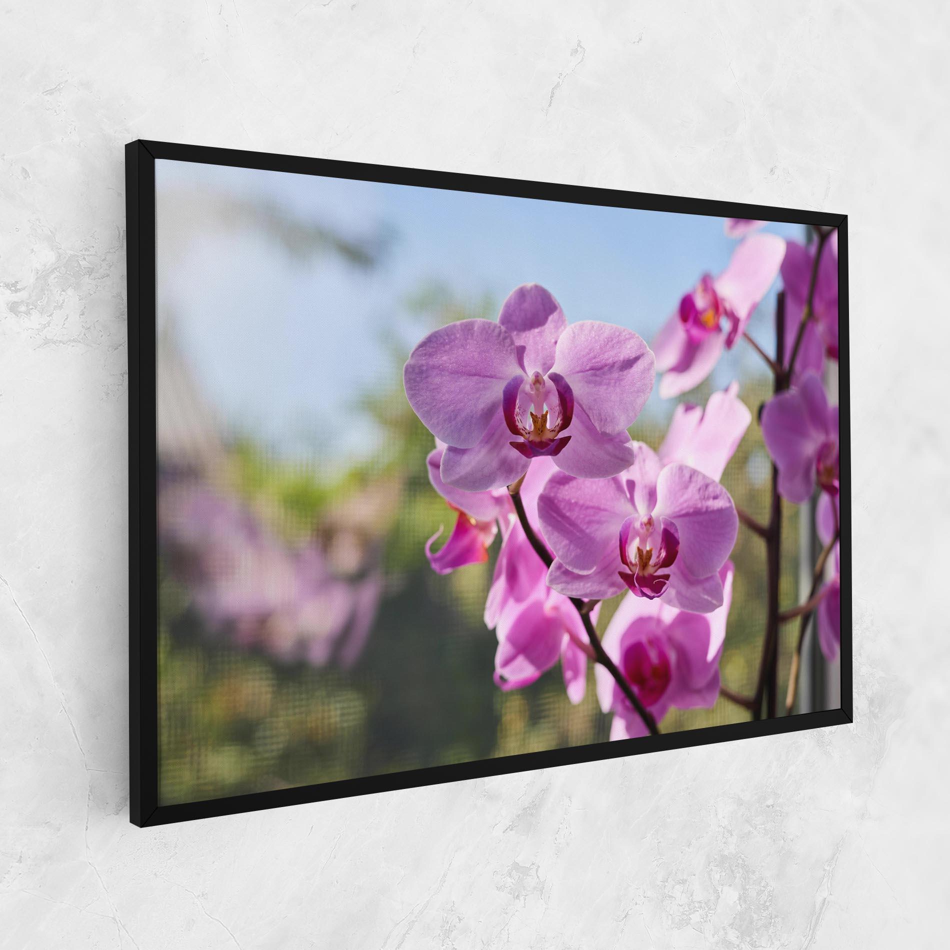 Tablou Canvas Orchids In The Garden mockup 1