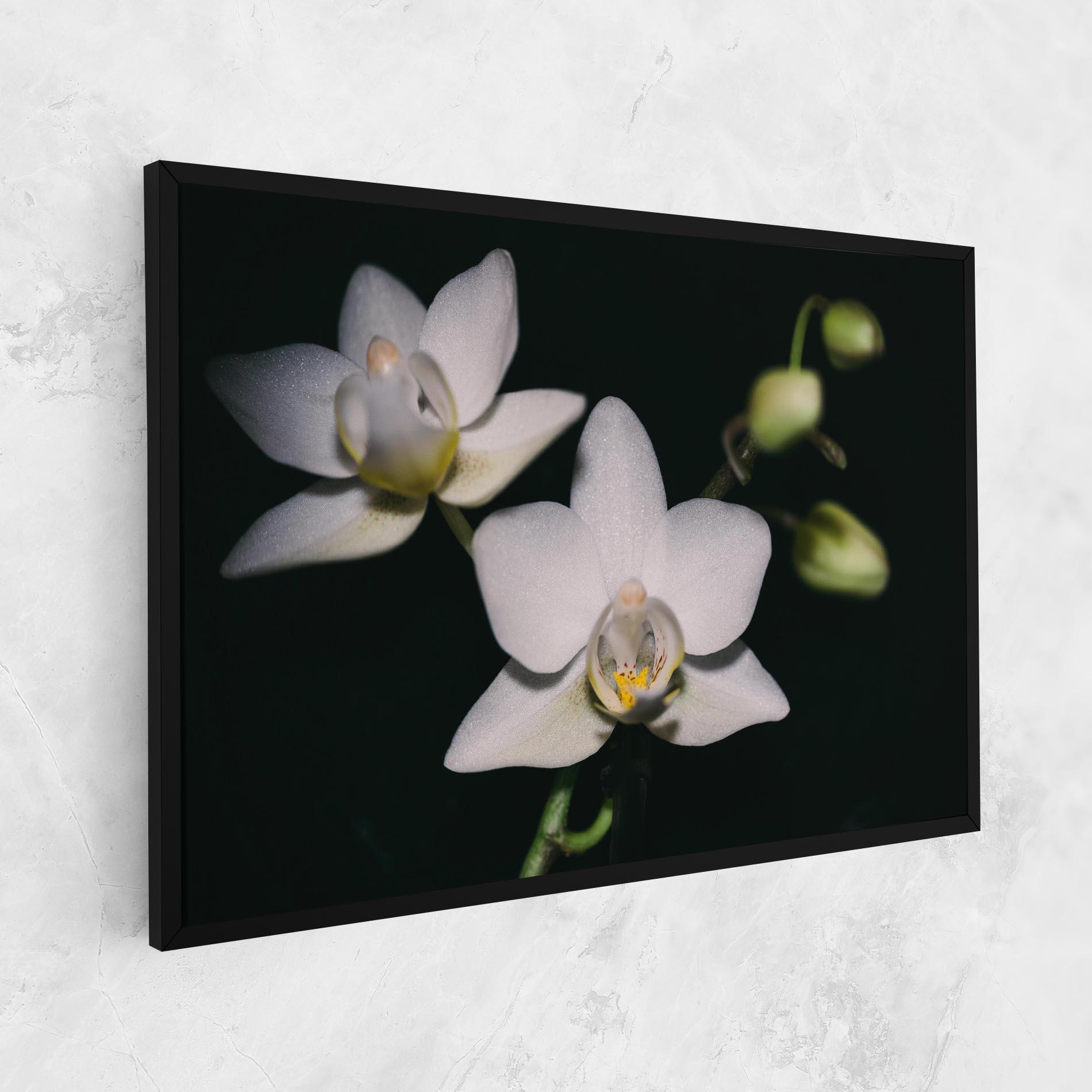 Tablou Canvas Orchids On Black mockup 1