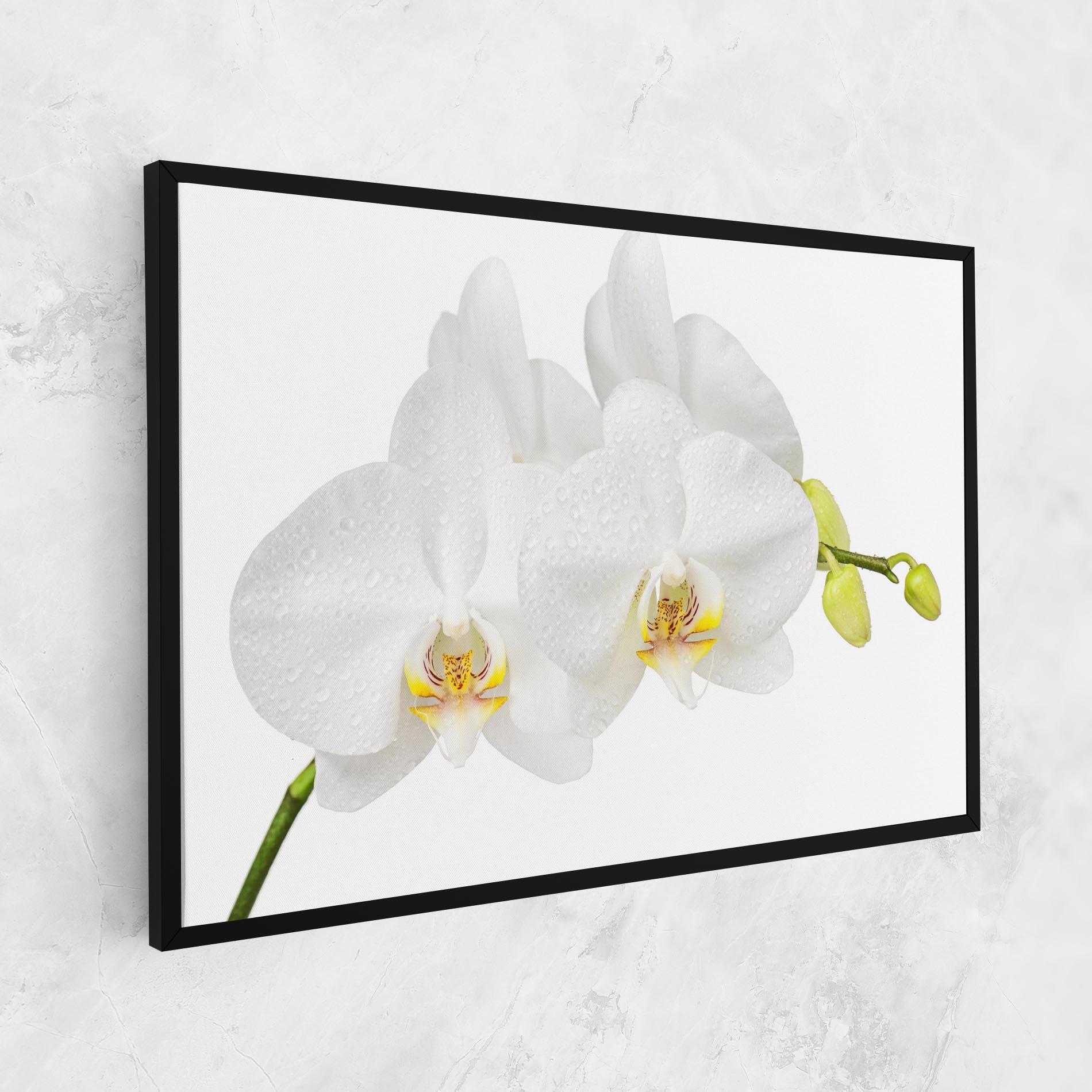 Tablou Canvas Orchids On White mockup 1