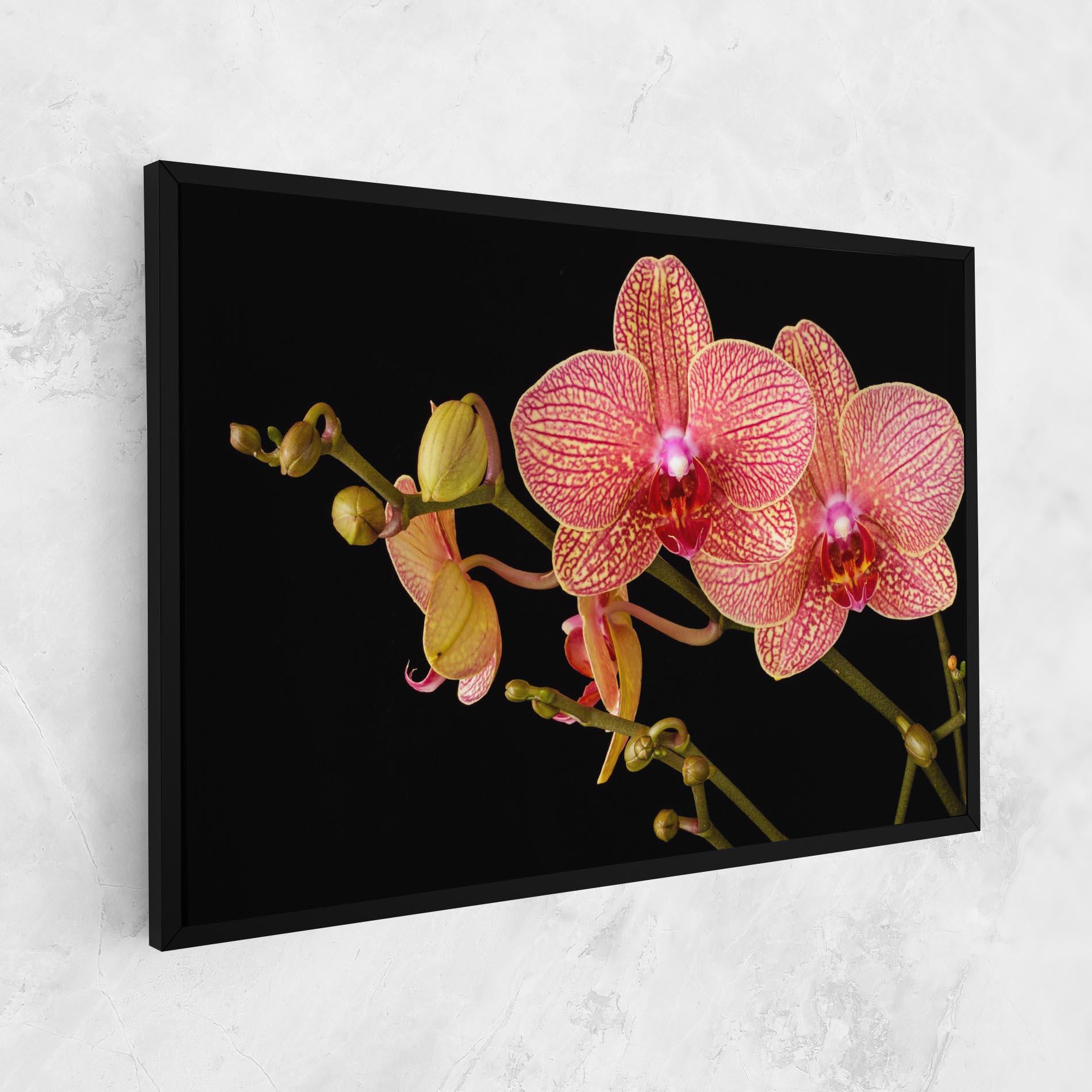 Tablou Canvas Pink Orchids On Black mockup 1