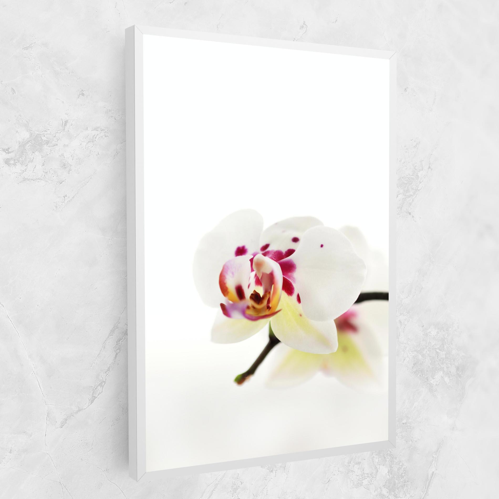 Tablou Canvas Clean White Orchid mockup 1