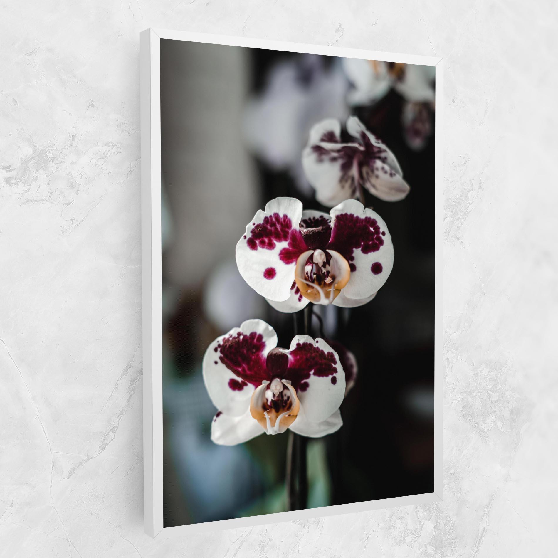 Tablou Canvas Dark Purple Orchid mockup 1