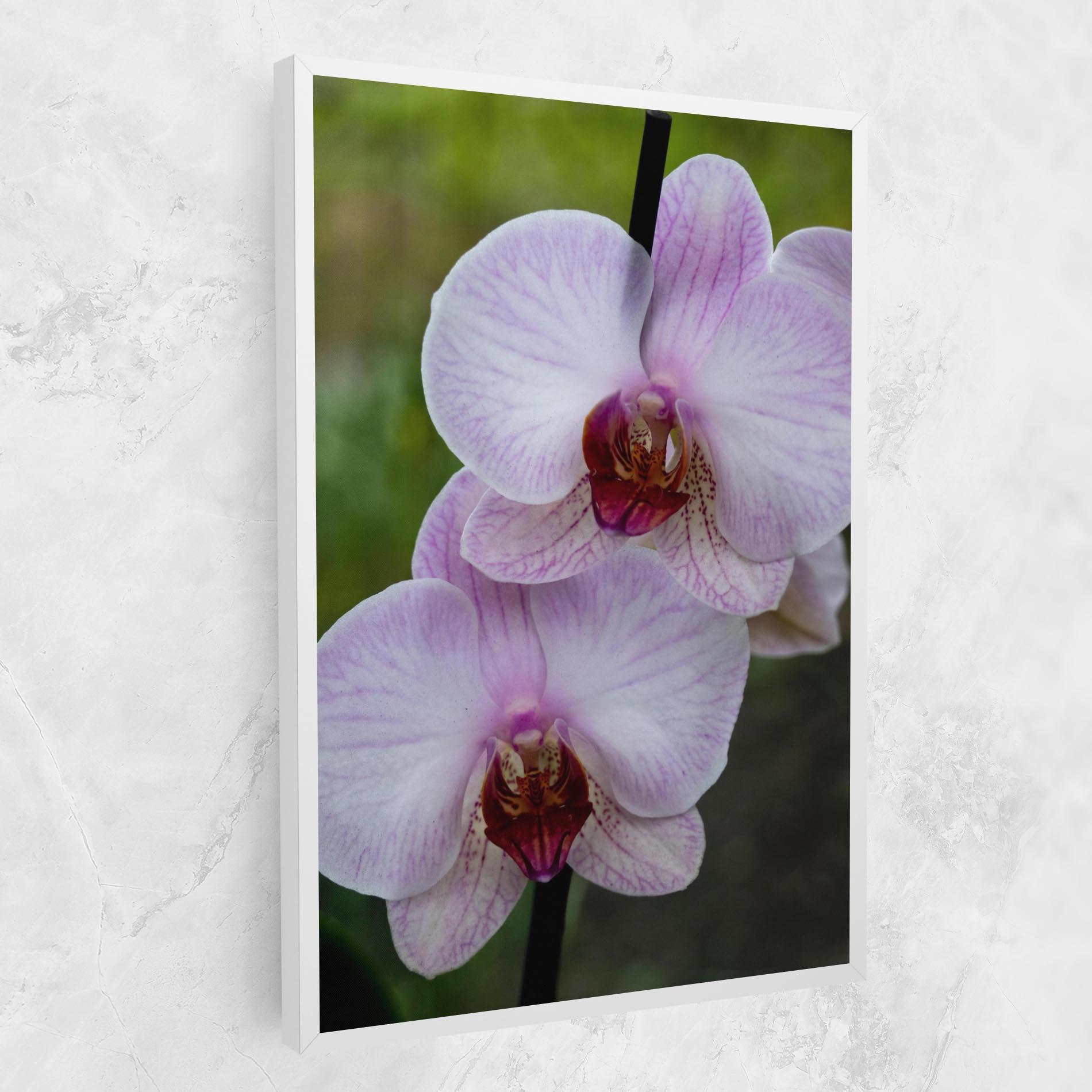 Tablou Canvas Garden Light Purple Orchid mockup 1