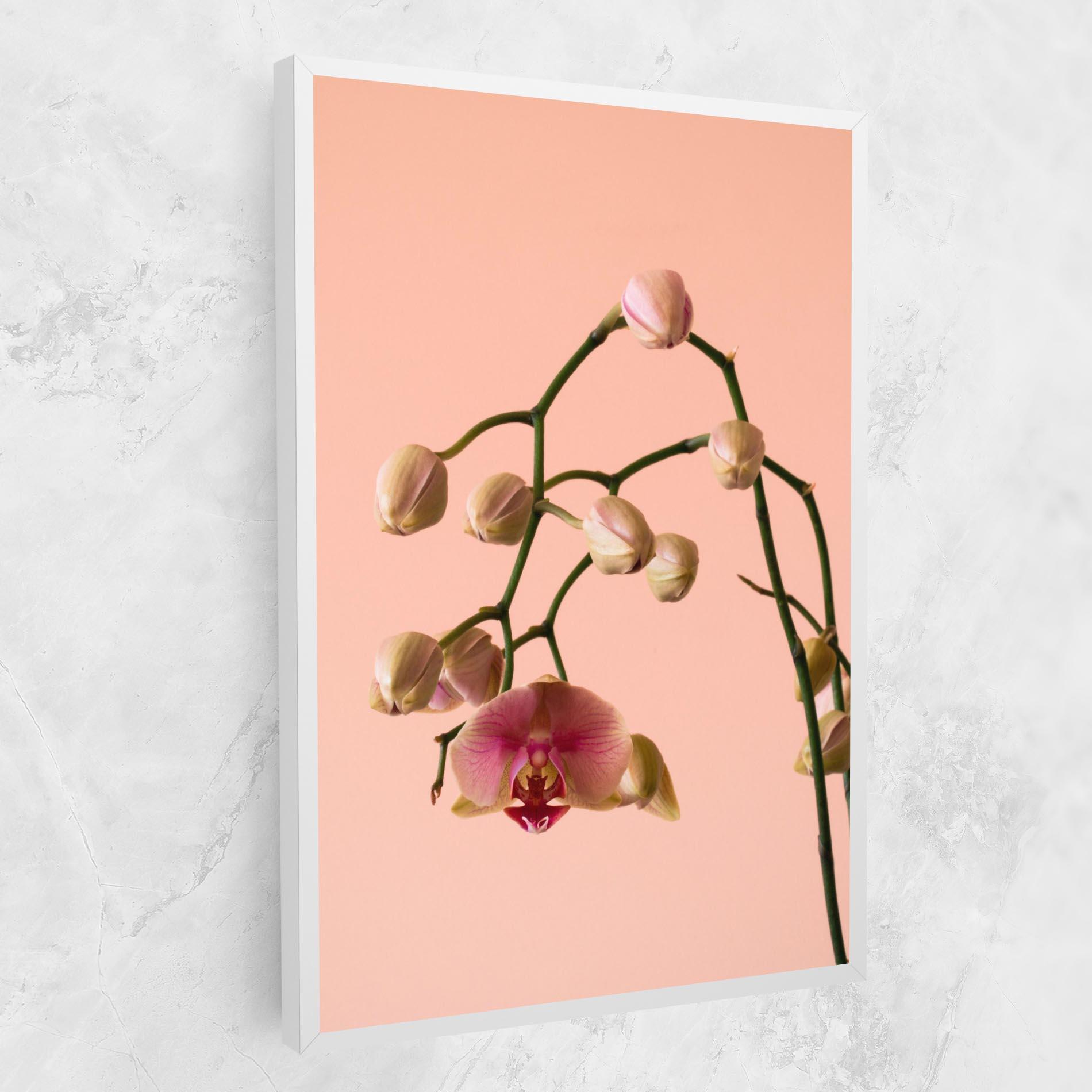 Tablou Canvas Orchids On Pink mockup 1