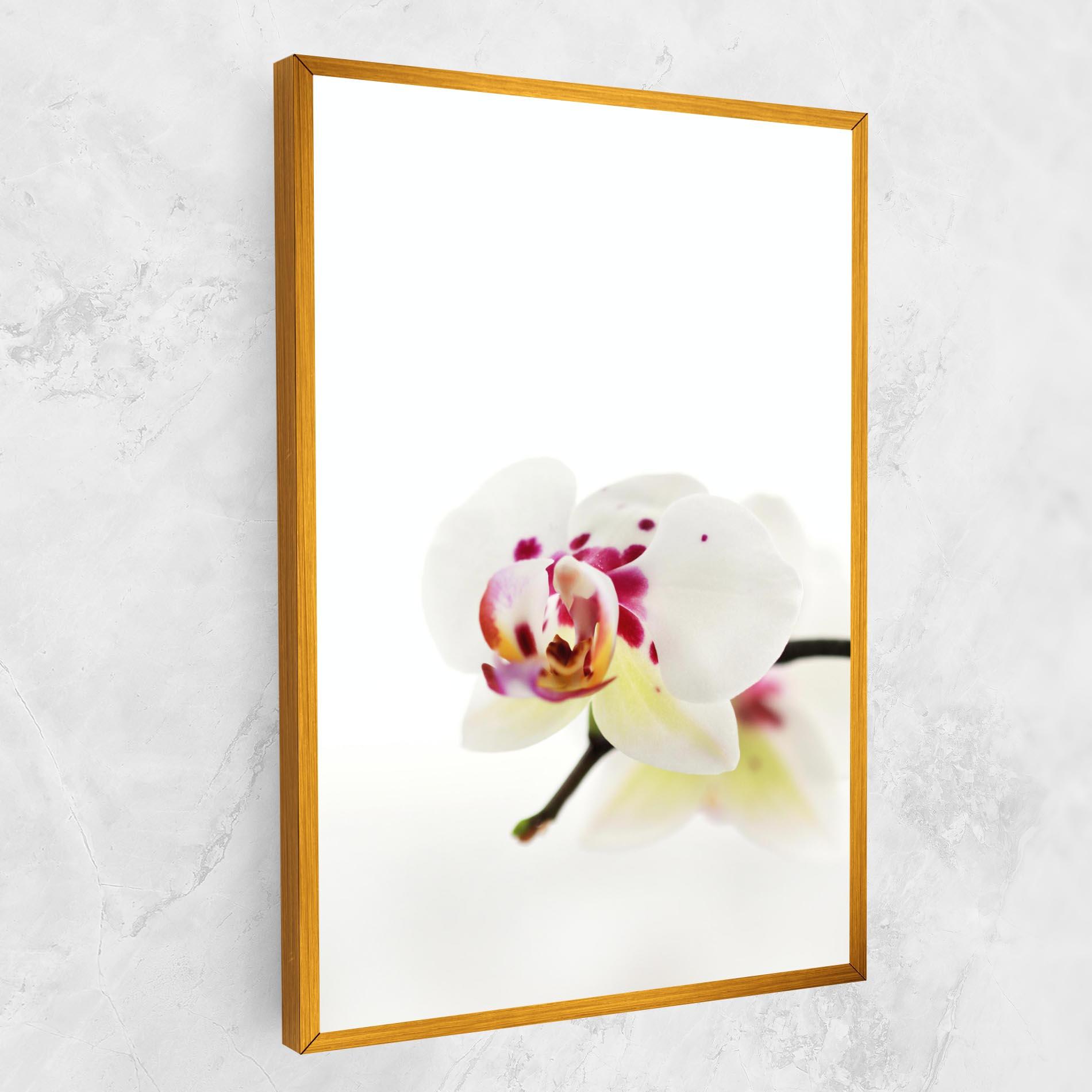 Tablou Canvas Clean White Orchid mockup 1