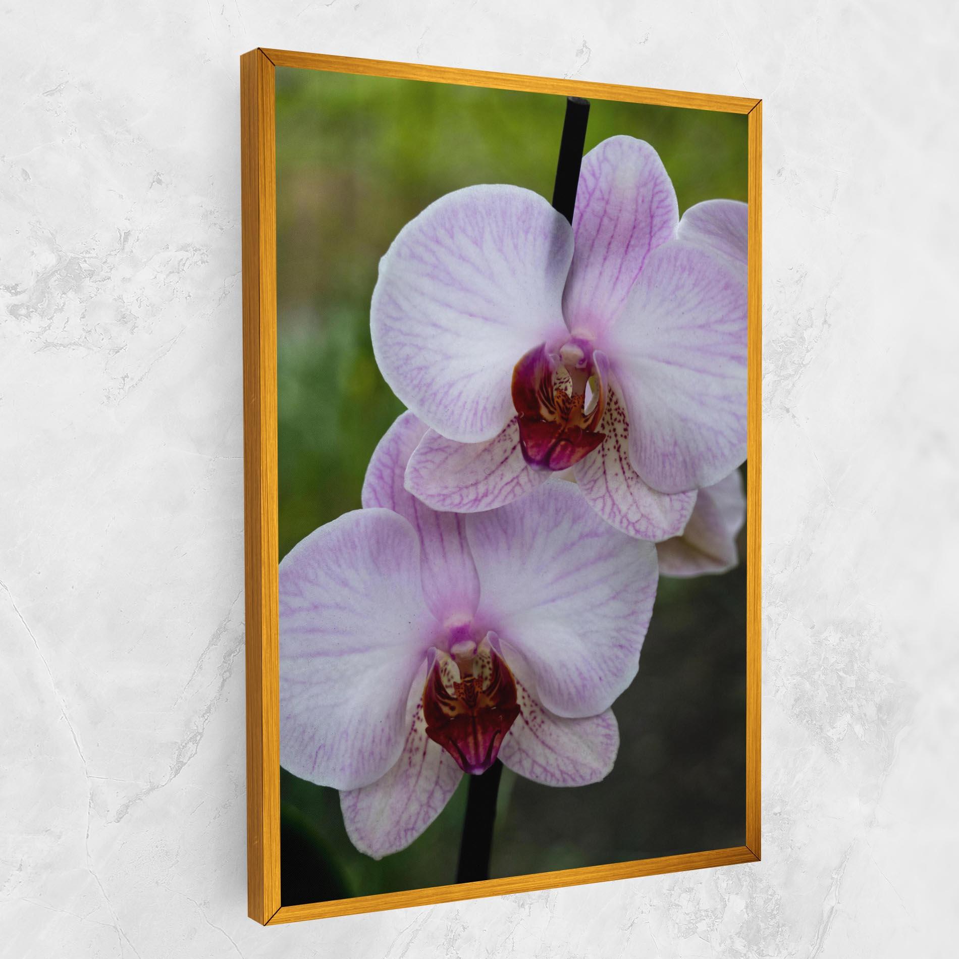 Tablou Canvas Garden Light Purple Orchid mockup 1