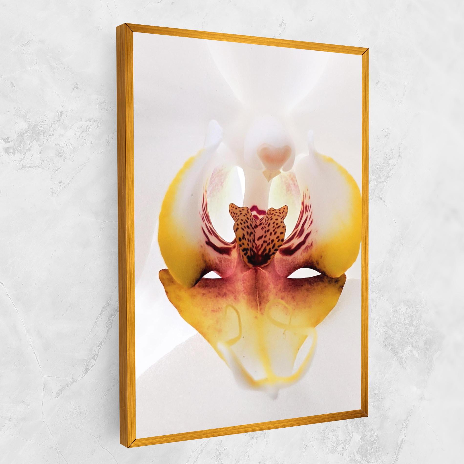 Tablou Canvas Orchid Close Up mockup 1