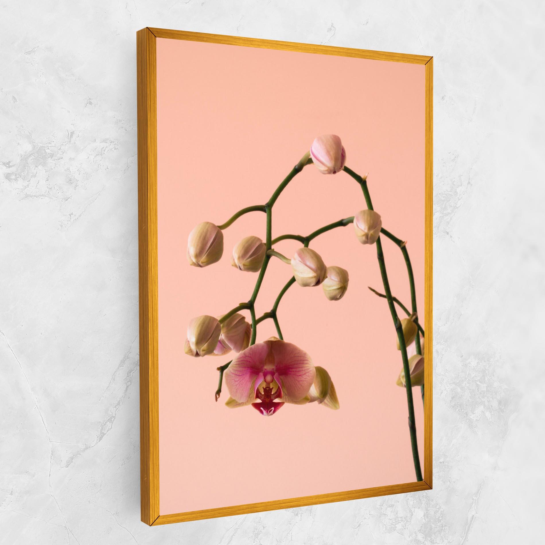 Tablou Canvas Orchids On Pink mockup 1