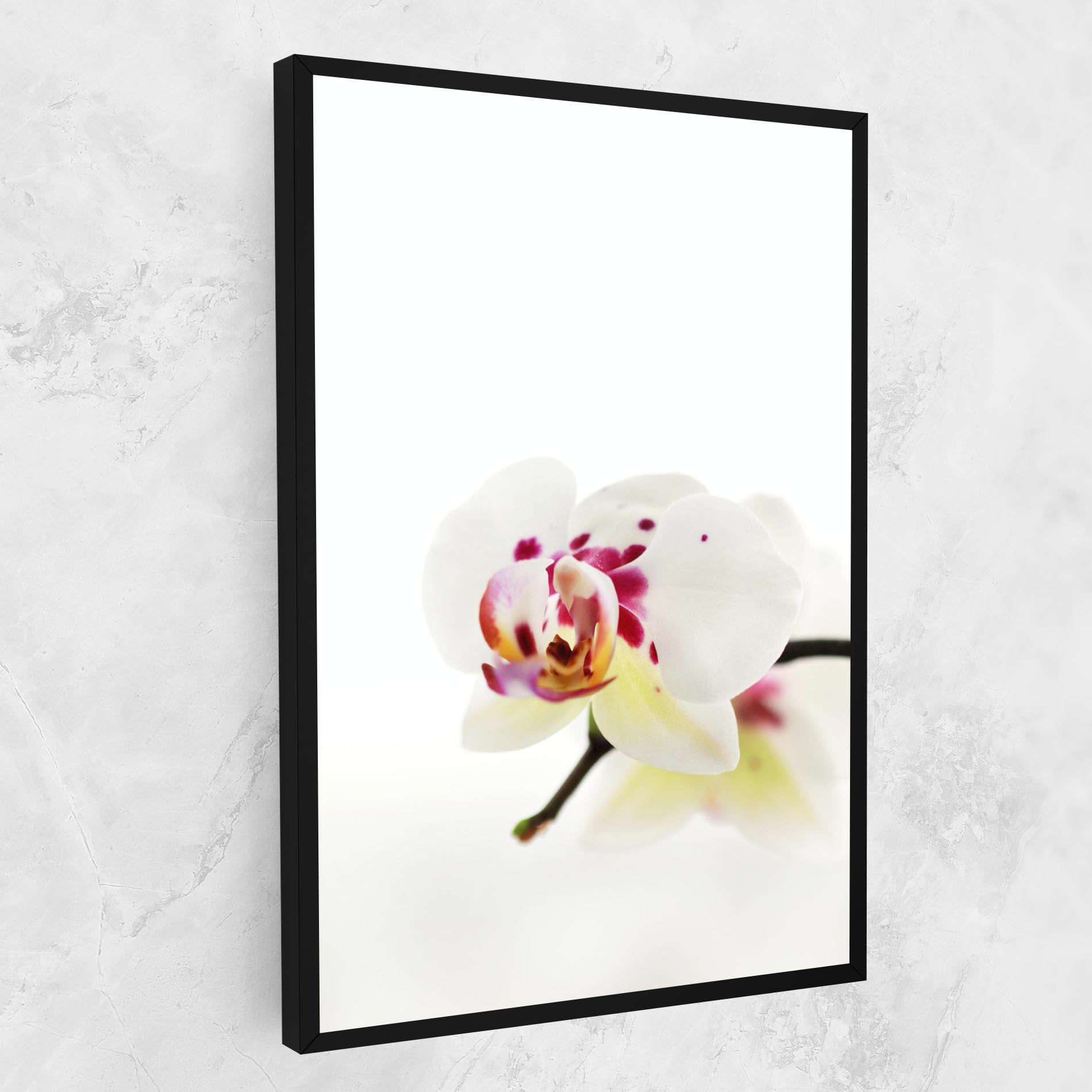 Tablou Canvas Clean White Orchid mockup 1