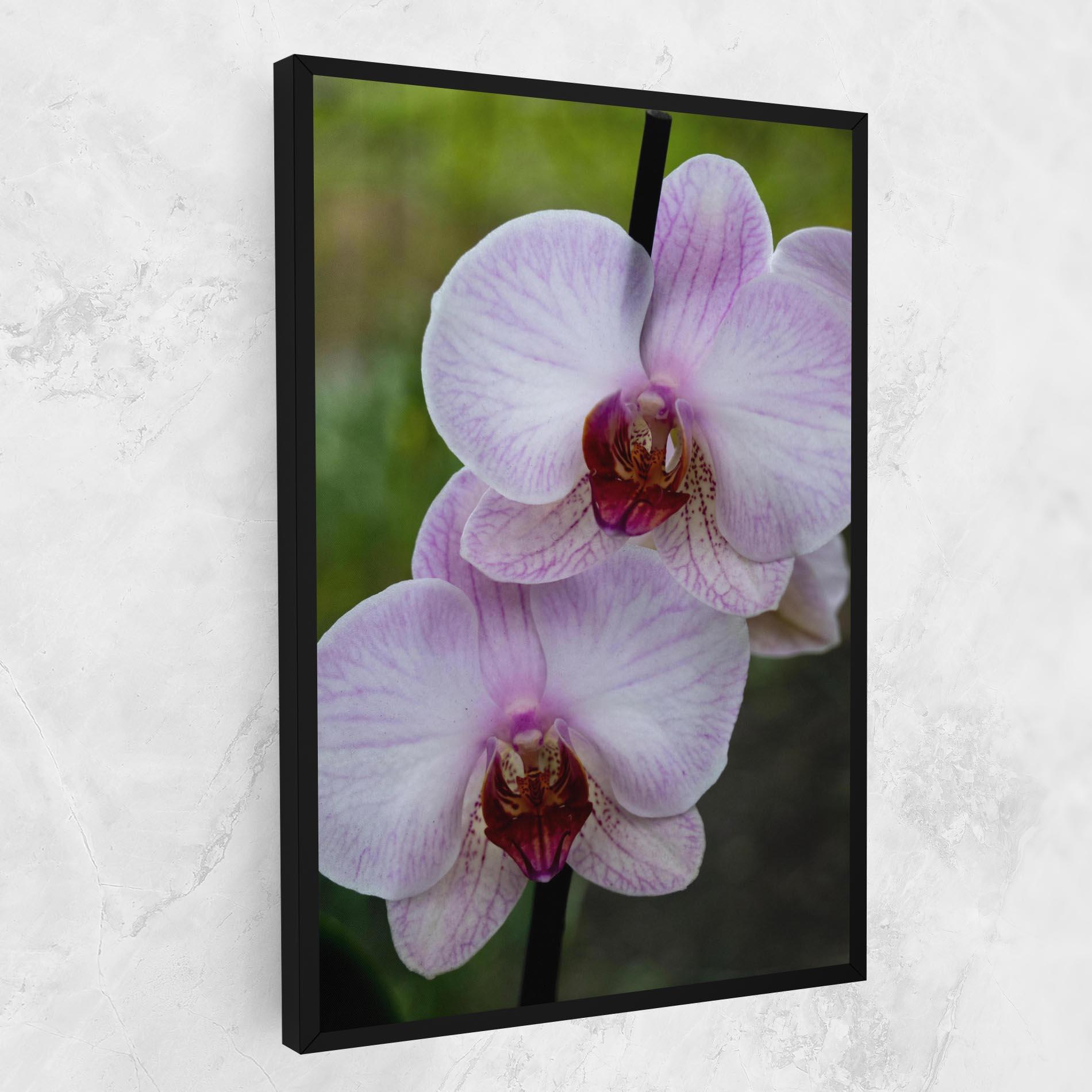 Tablou Canvas Garden Light Purple Orchid mockup 1