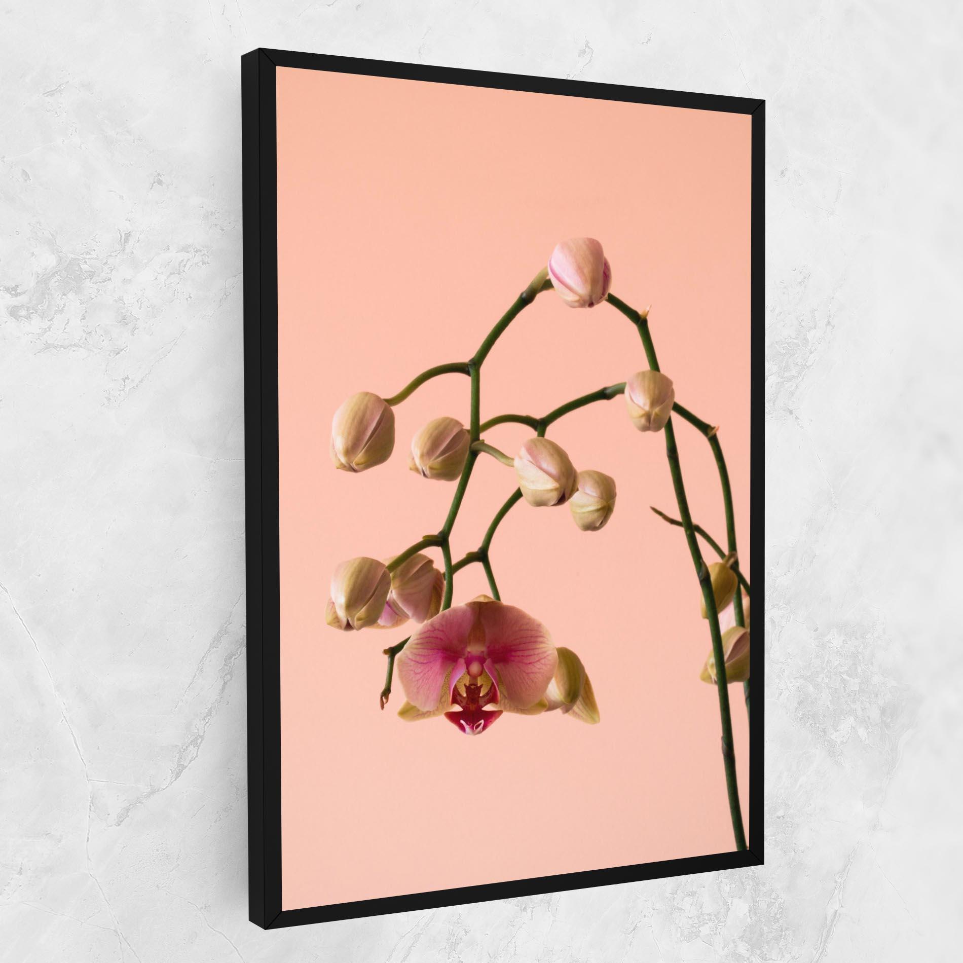 Tablou Canvas Orchids On Pink mockup 1