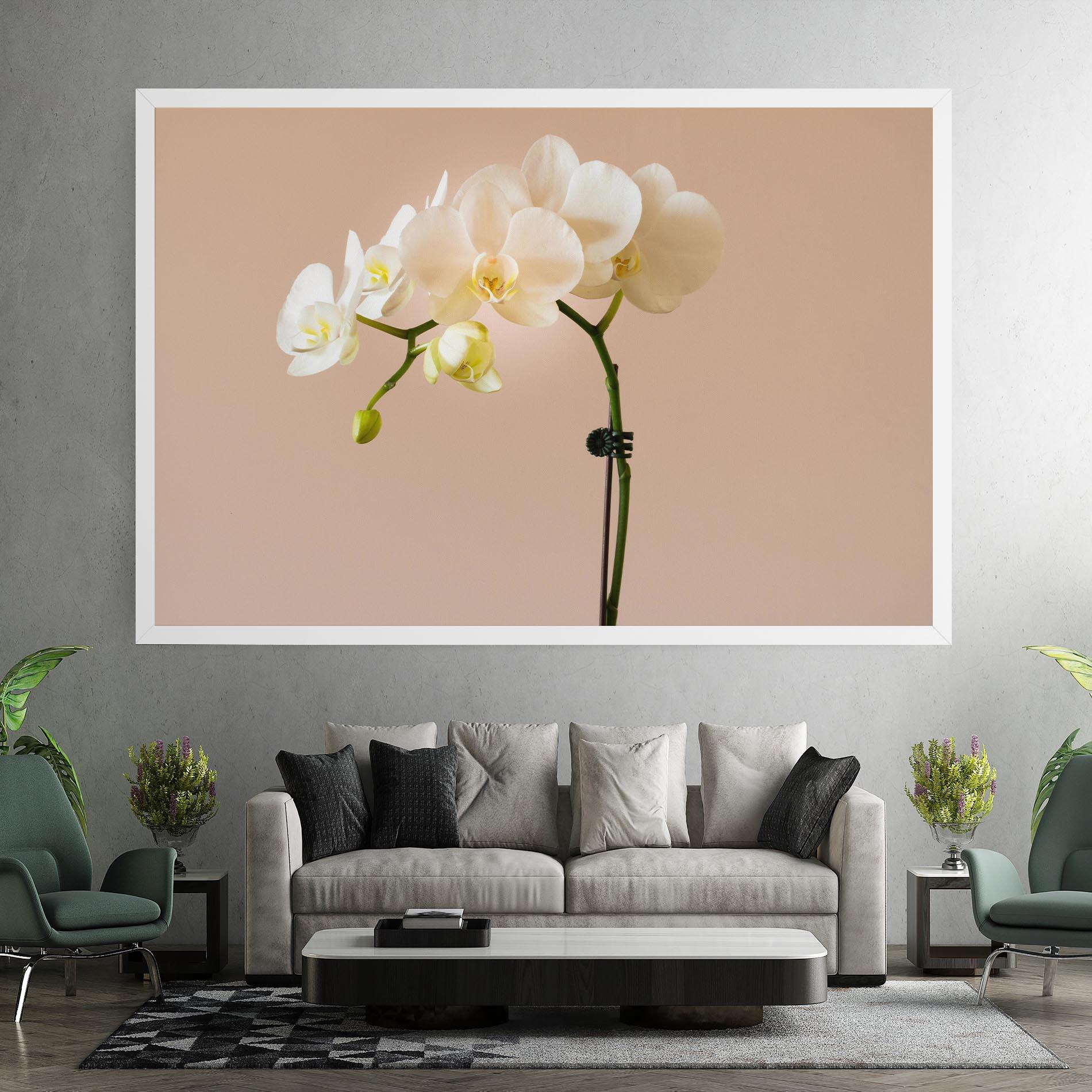 Tablou Canvas Cream Orchid On Pink mockup 7