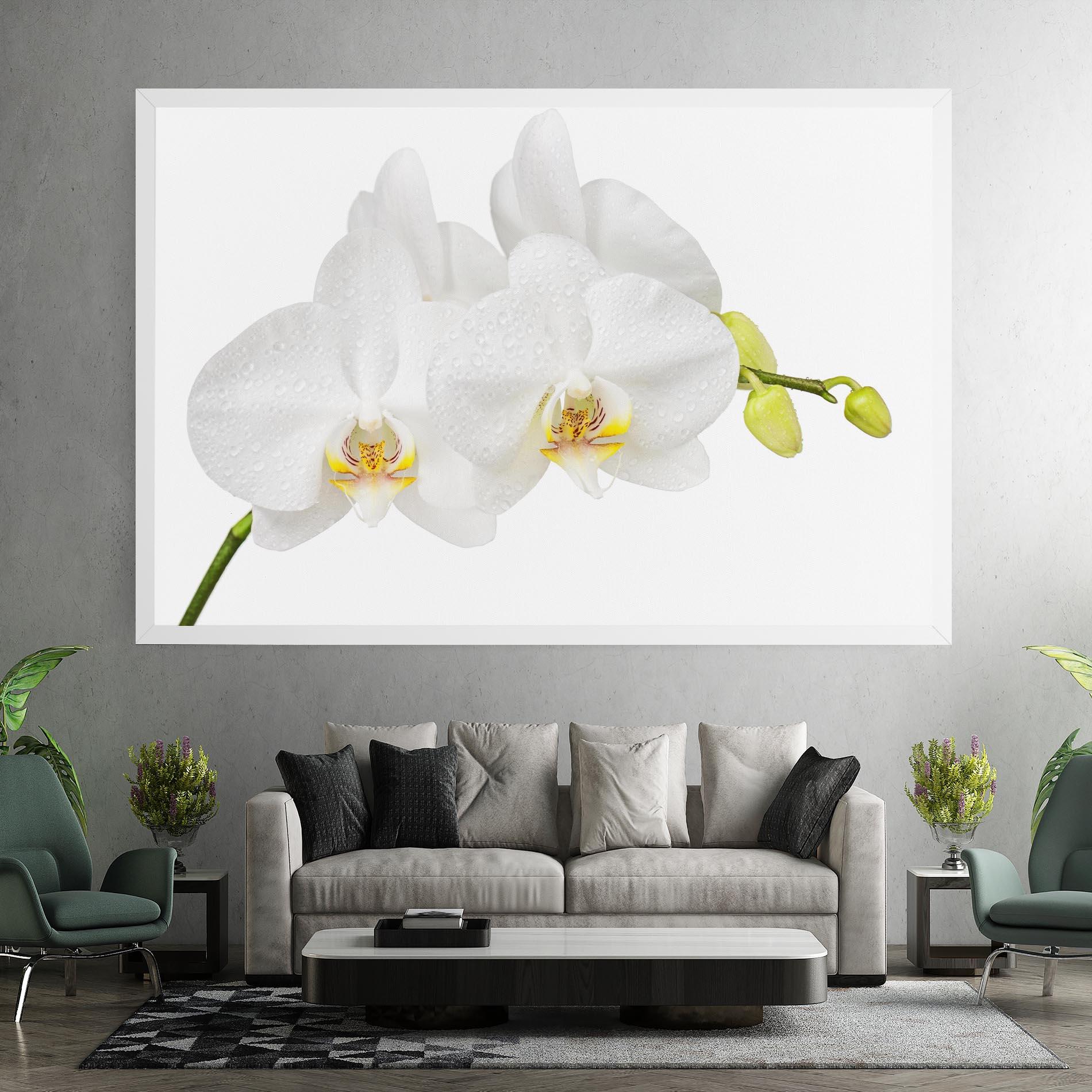 Tablou Canvas Orchids On White mockup 7