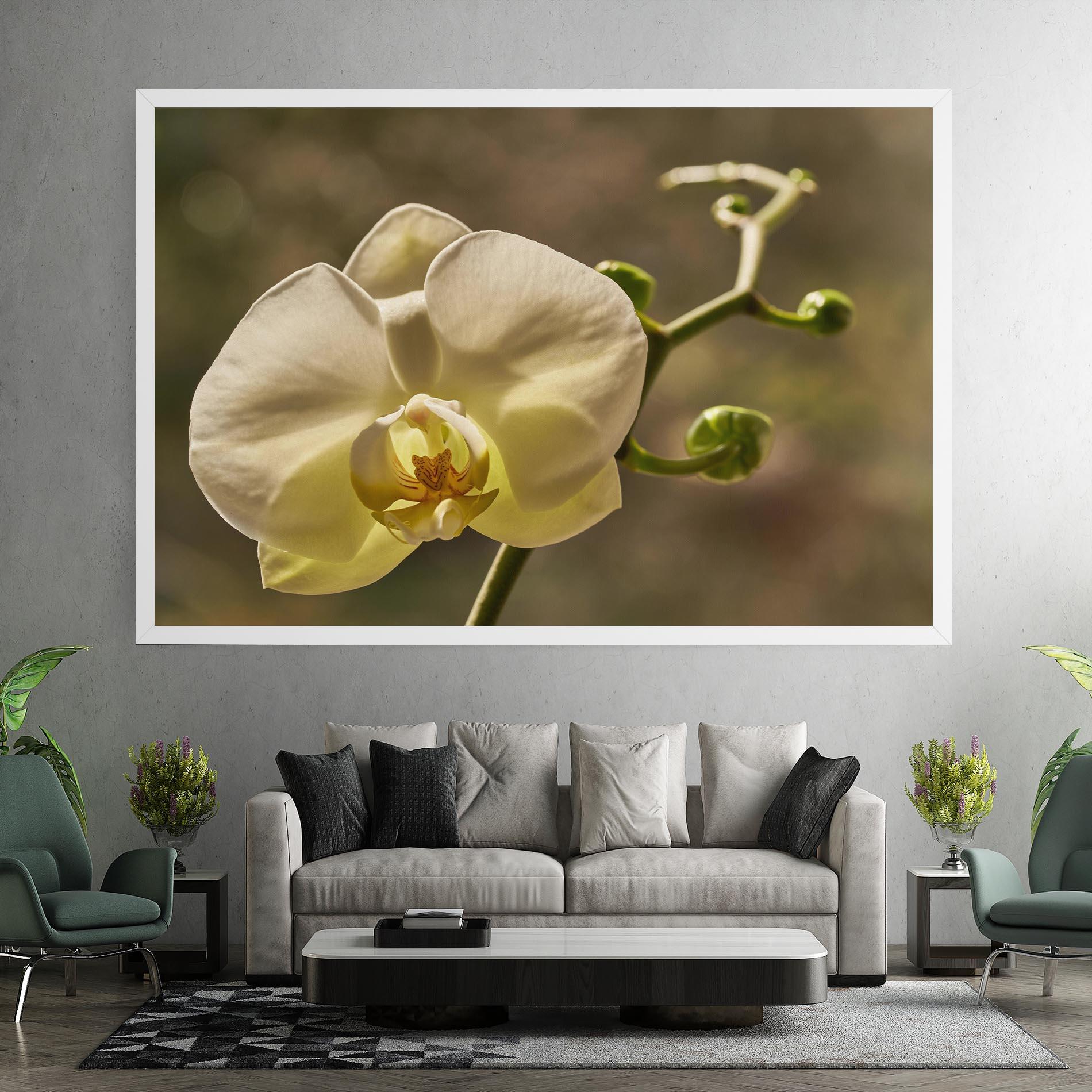 Tablou Canvas Pastel Yellow Orchid In Garden mockup 7