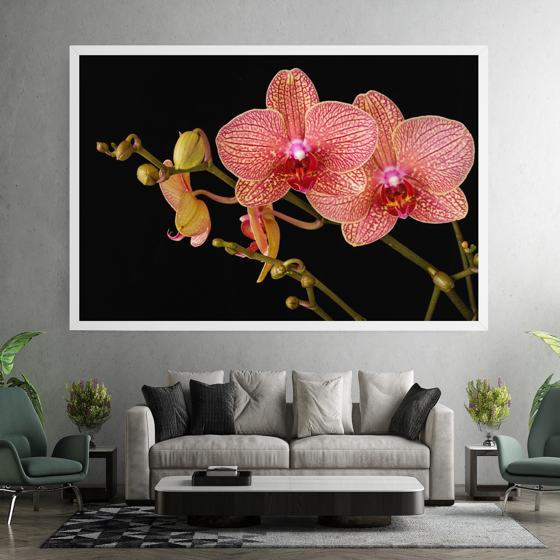 Tablou Canvas Pink Orchids On Black mockup 7