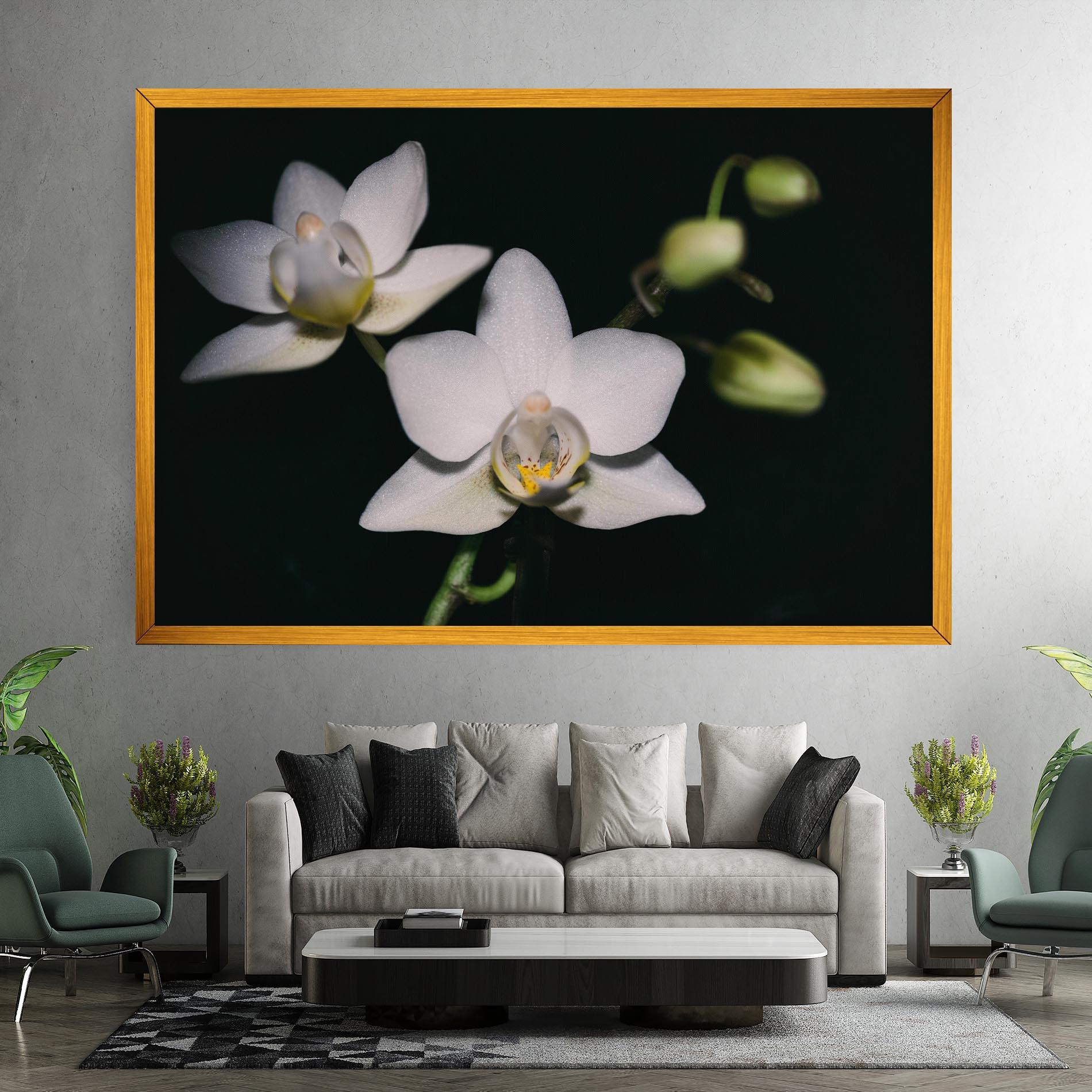 Tablou Canvas Orchids On Black mockup 7