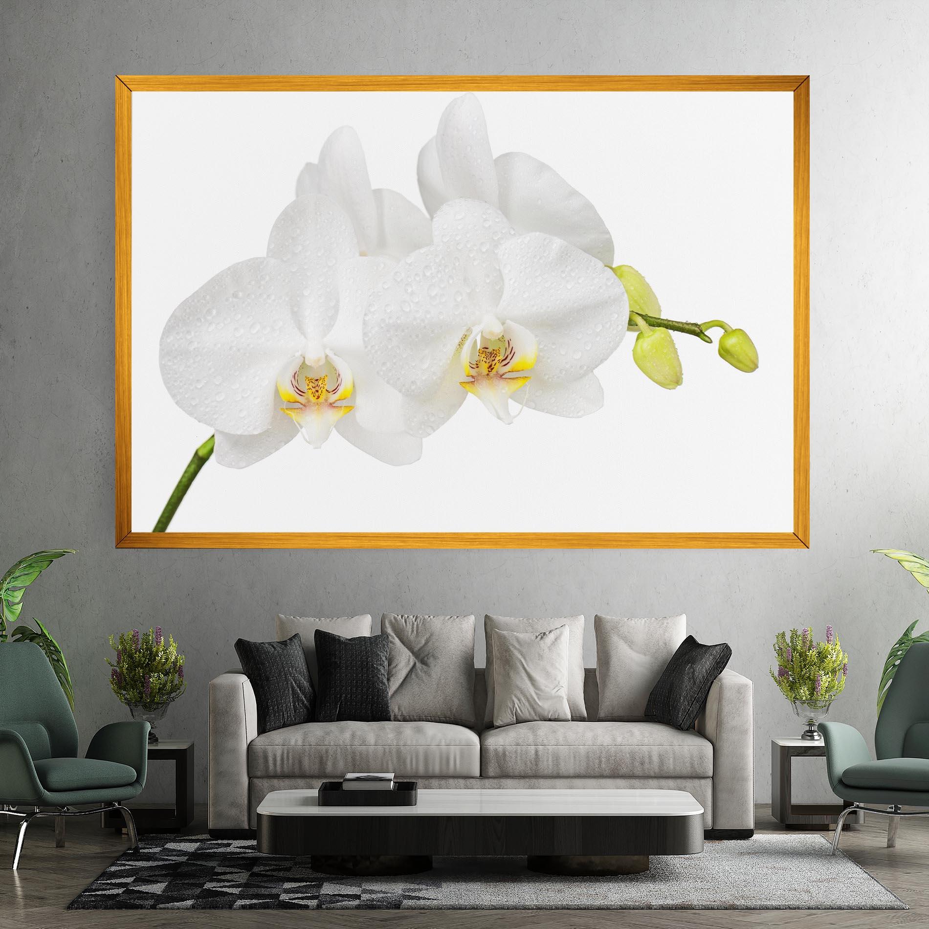 Tablou Canvas Orchids On White mockup 7