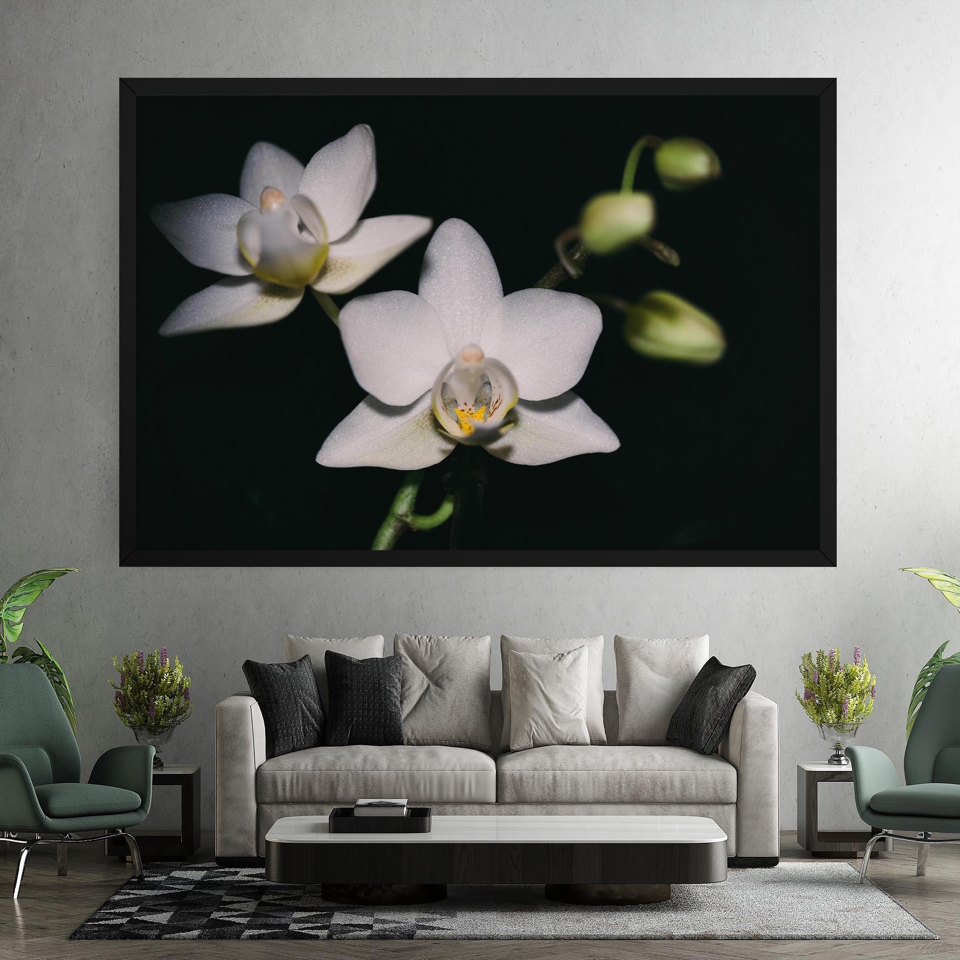 Tablou Canvas Orchids On Black mockup 7