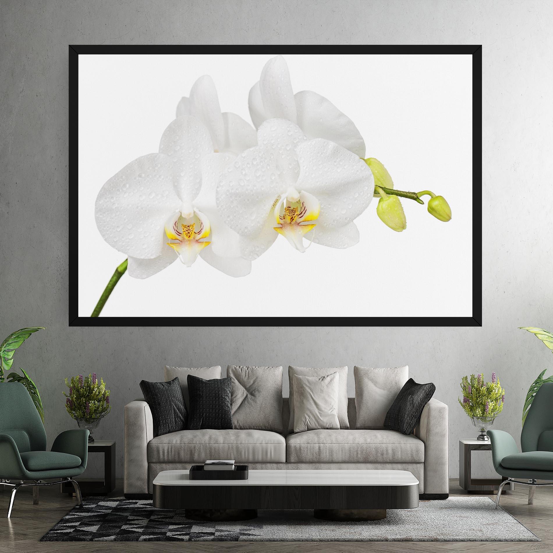 Tablou Canvas Orchids On White mockup 7