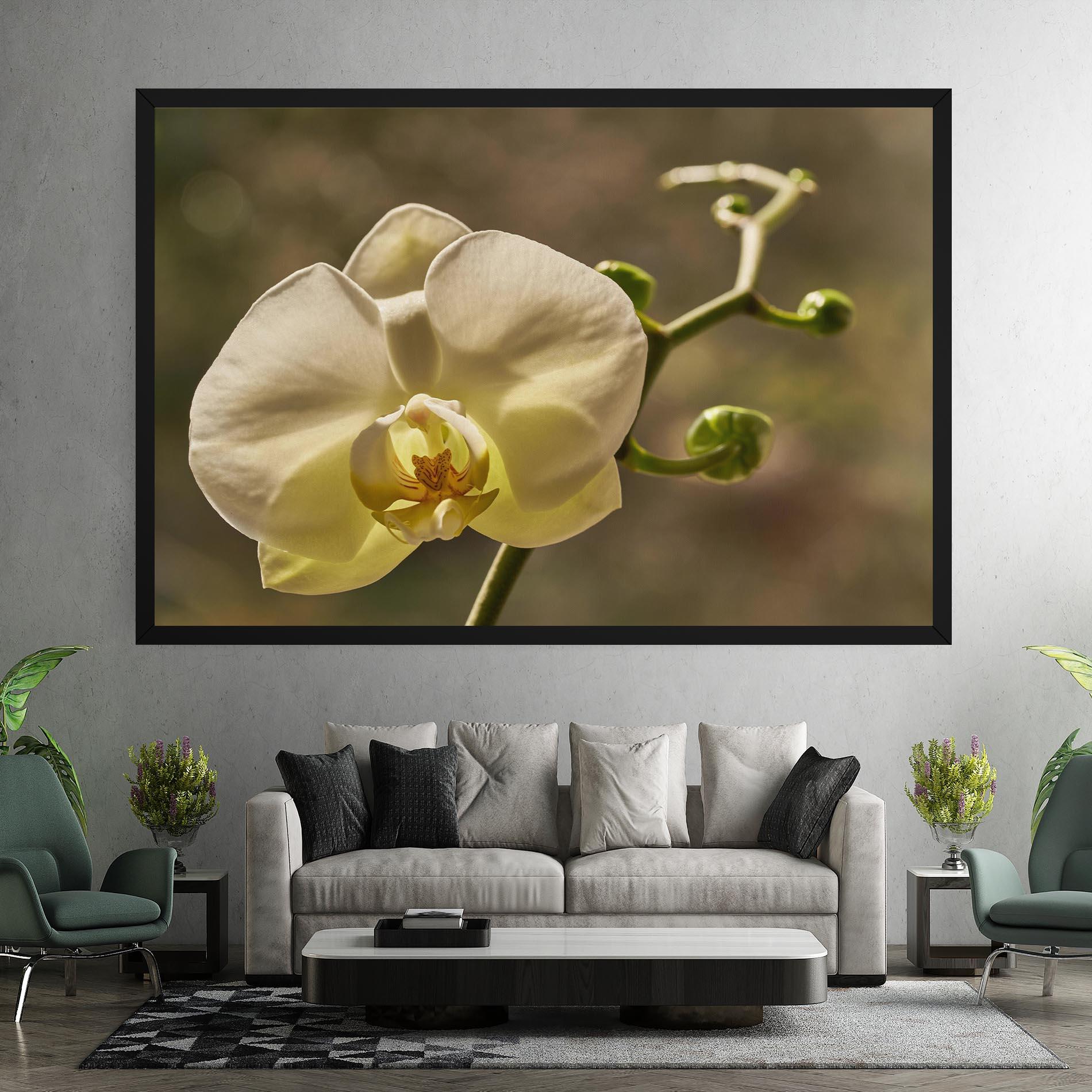 Tablou Canvas Pastel Yellow Orchid In Garden mockup 7