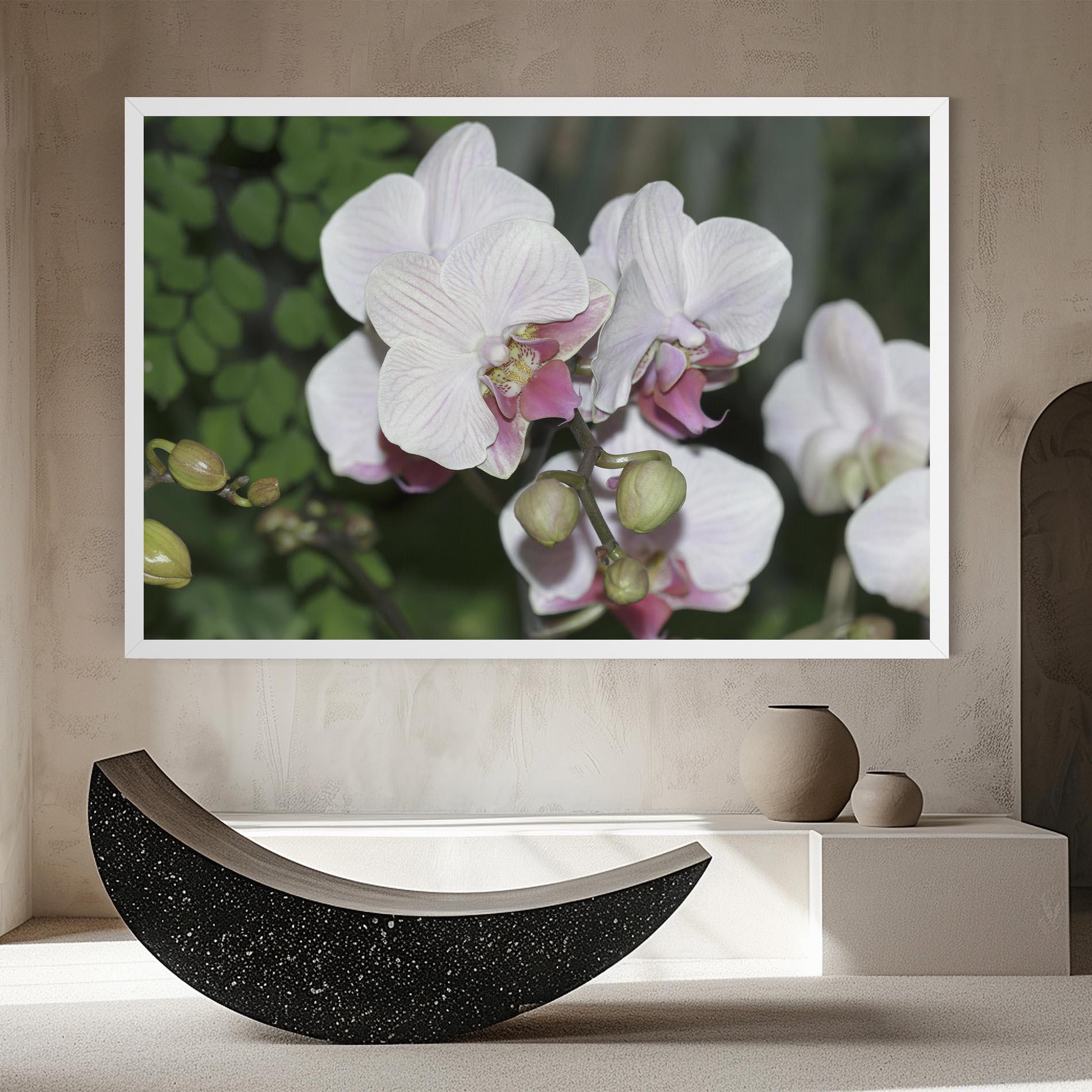 Tablou Canvas Orchid Botanical Garden mockup 8