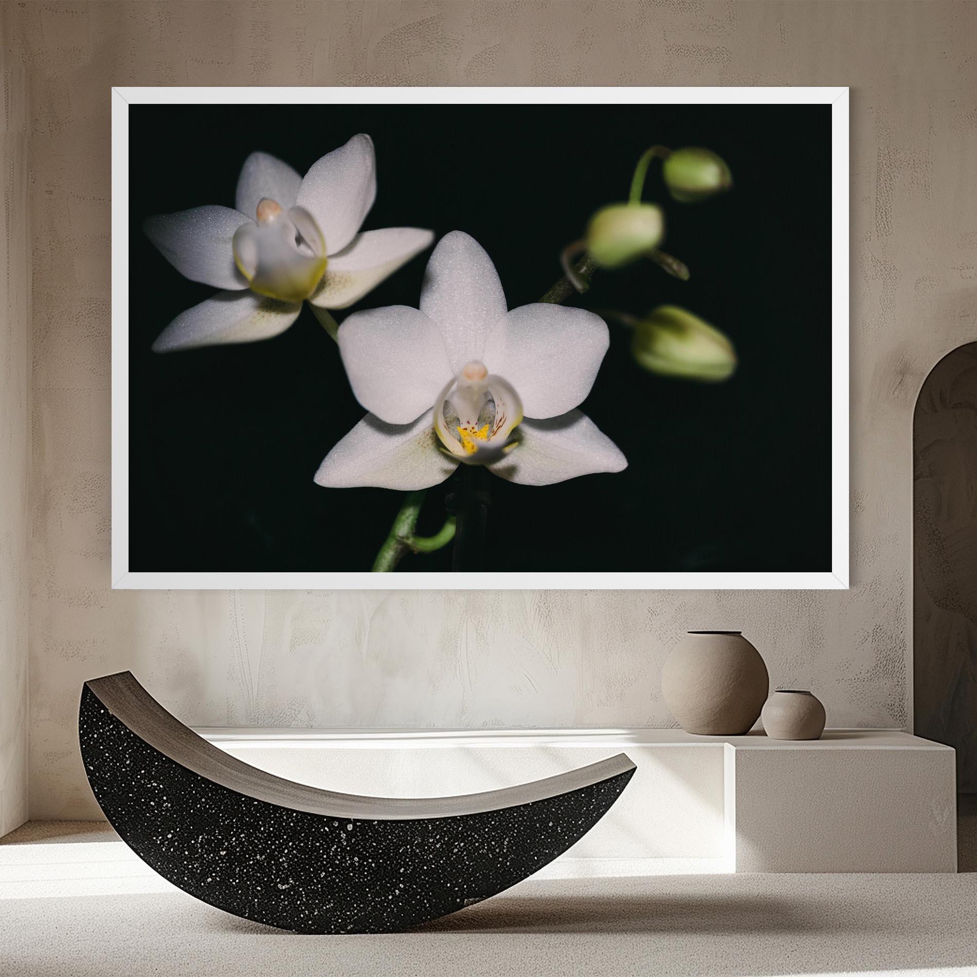 Tablou Canvas Orchids On Black mockup 8