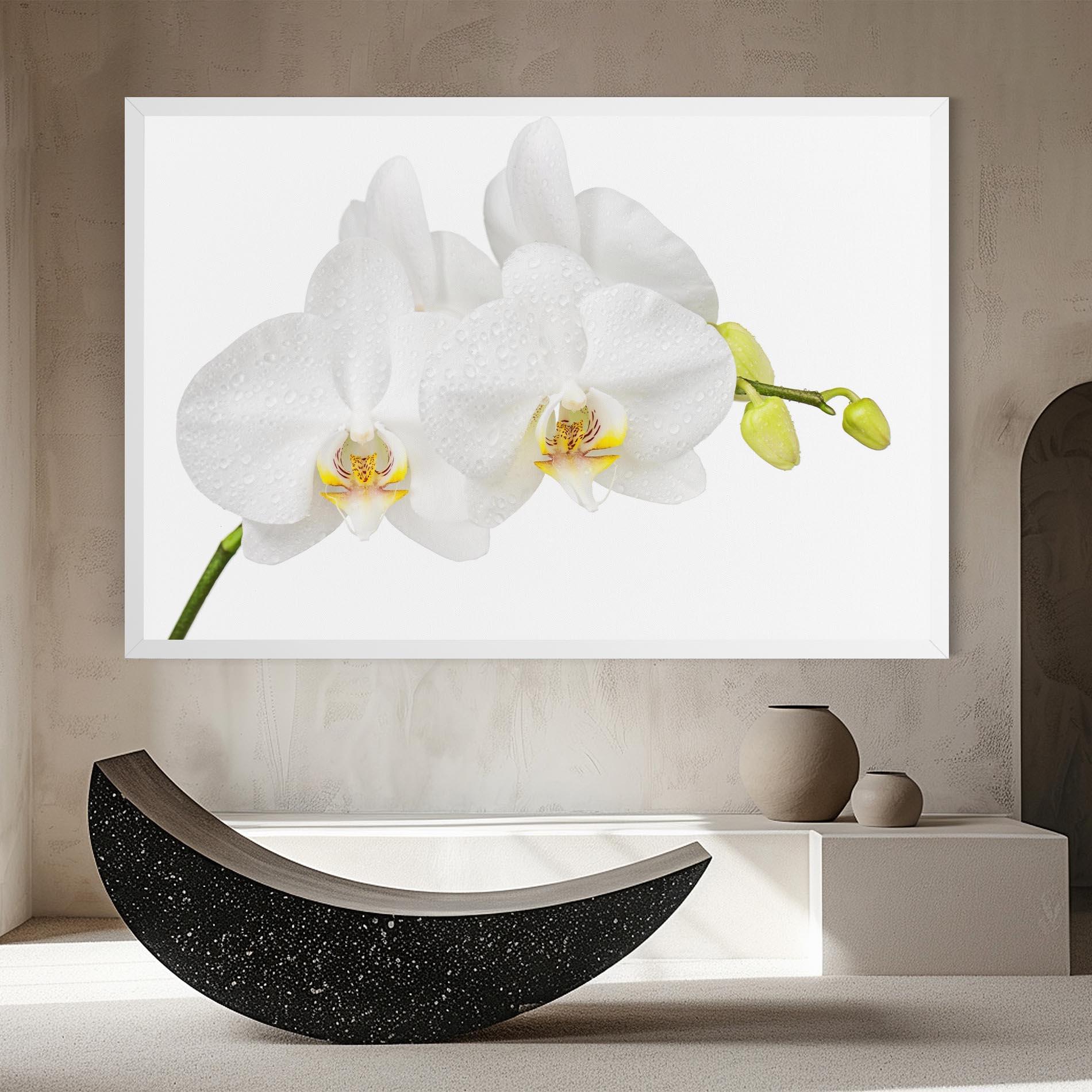 Tablou Canvas Orchids On White mockup 8