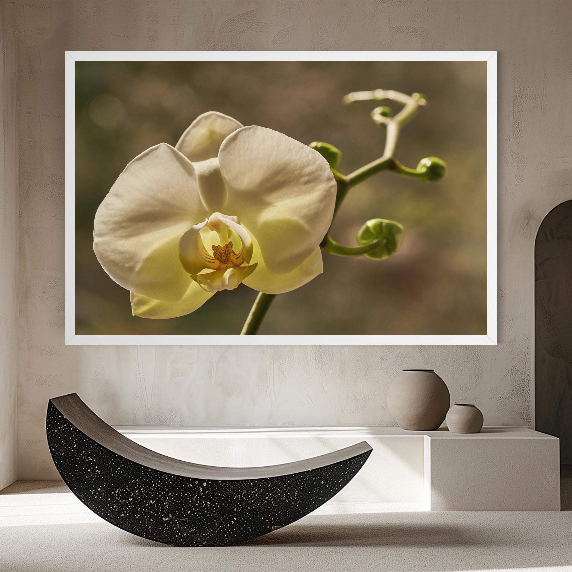 Tablou Canvas Pastel Yellow Orchid In Garden mockup 8