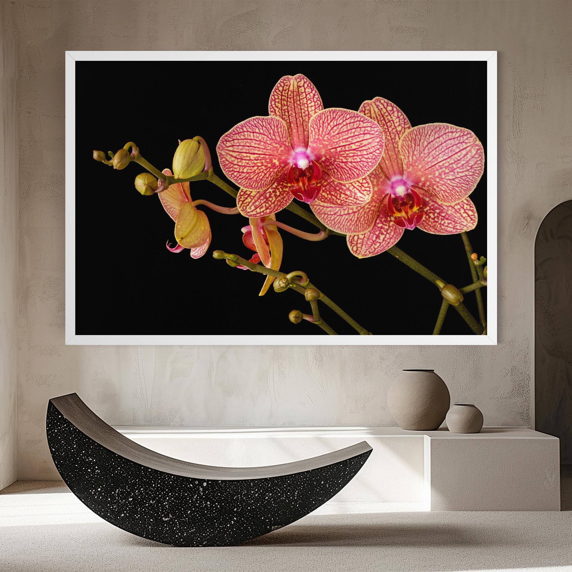 Tablou Canvas Pink Orchids On Black mockup 8