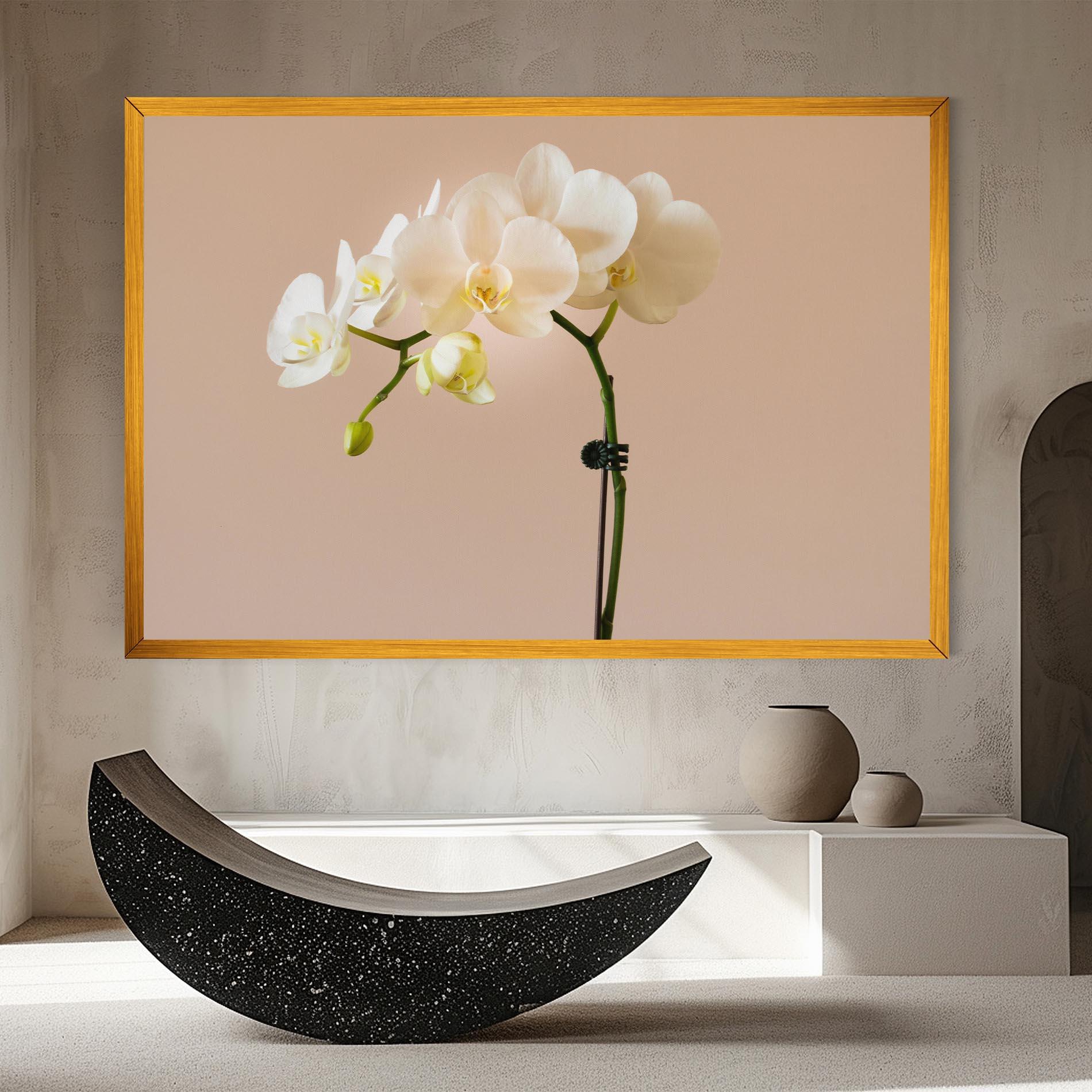 Tablou Canvas Cream Orchid On Pink mockup 8