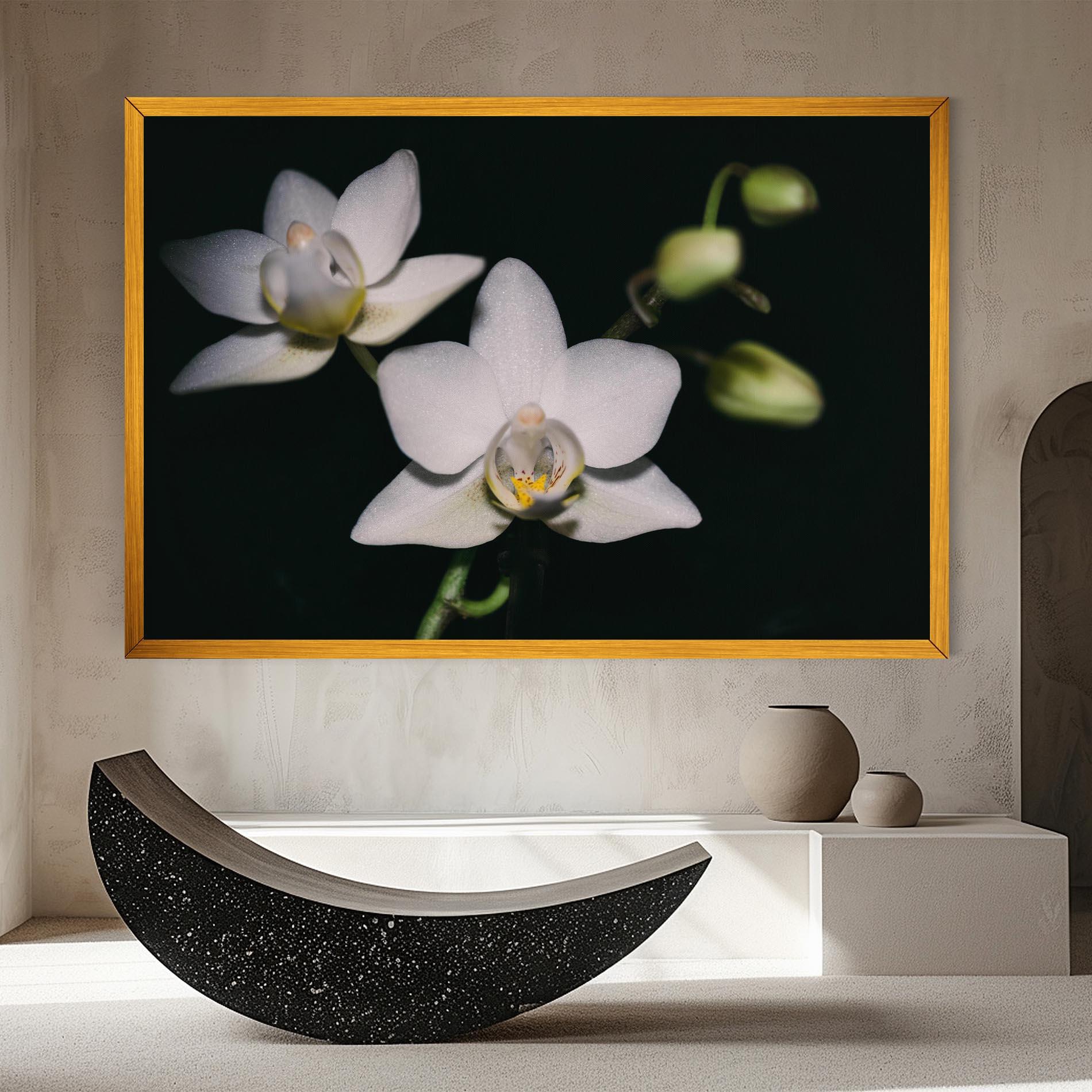 Tablou Canvas Orchids On Black mockup 8