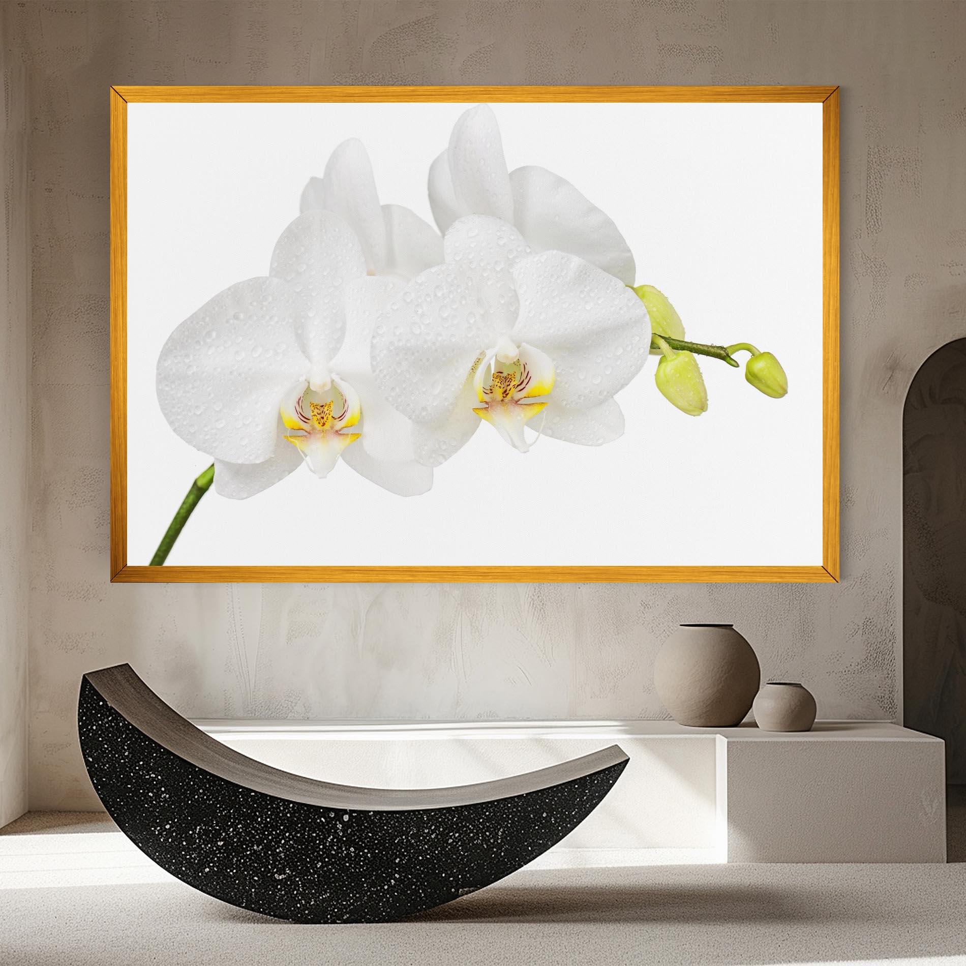 Tablou Canvas Orchids On White mockup 8