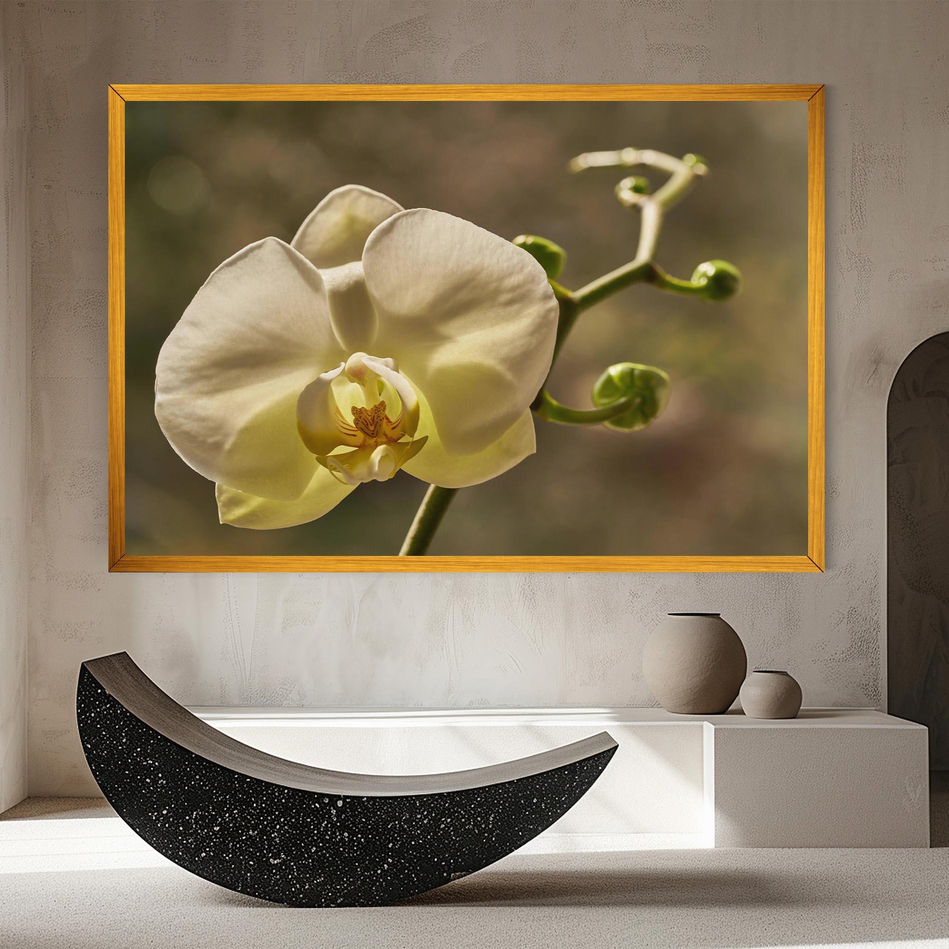 Tablou Canvas Pastel Yellow Orchid In Garden mockup 8