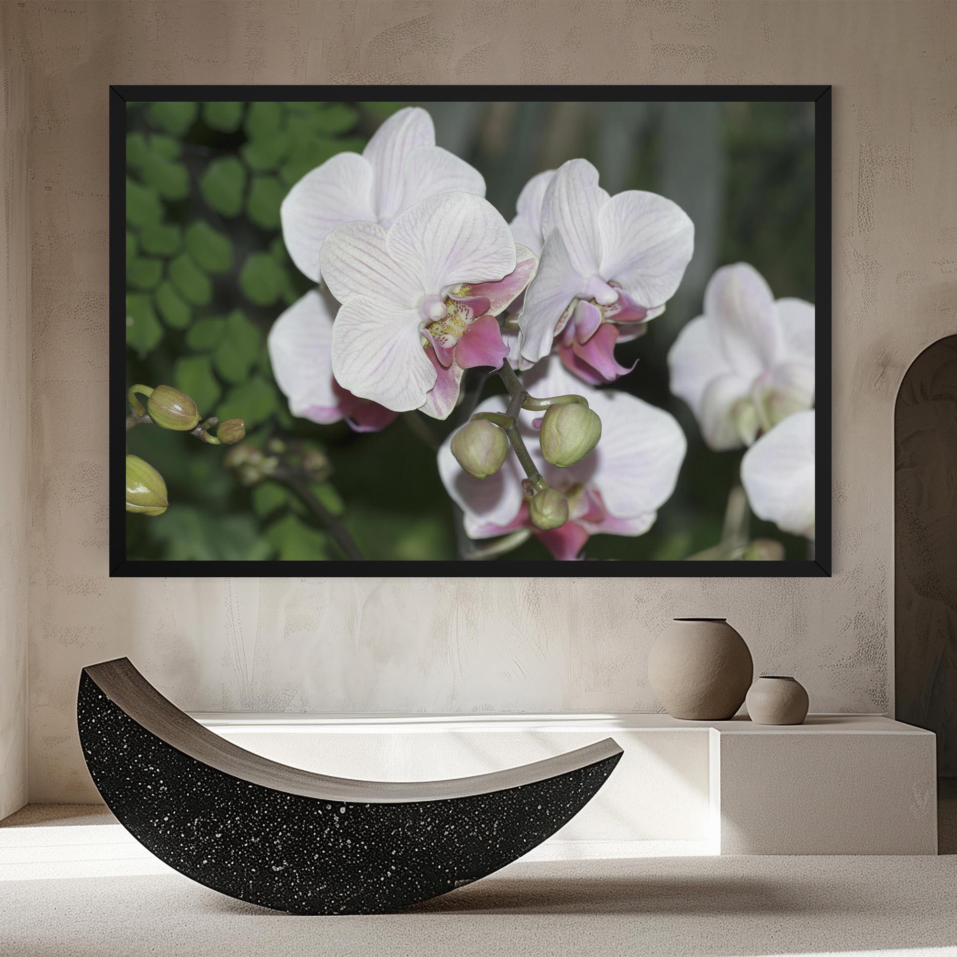 Tablou Canvas Orchid Botanical Garden mockup 8