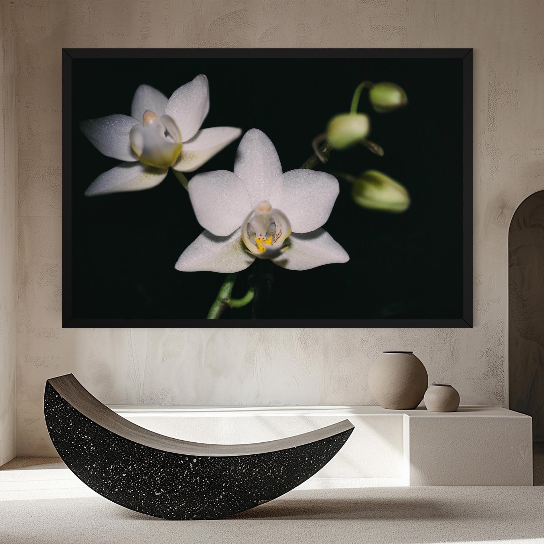 Tablou Canvas Orchids On Black mockup 8