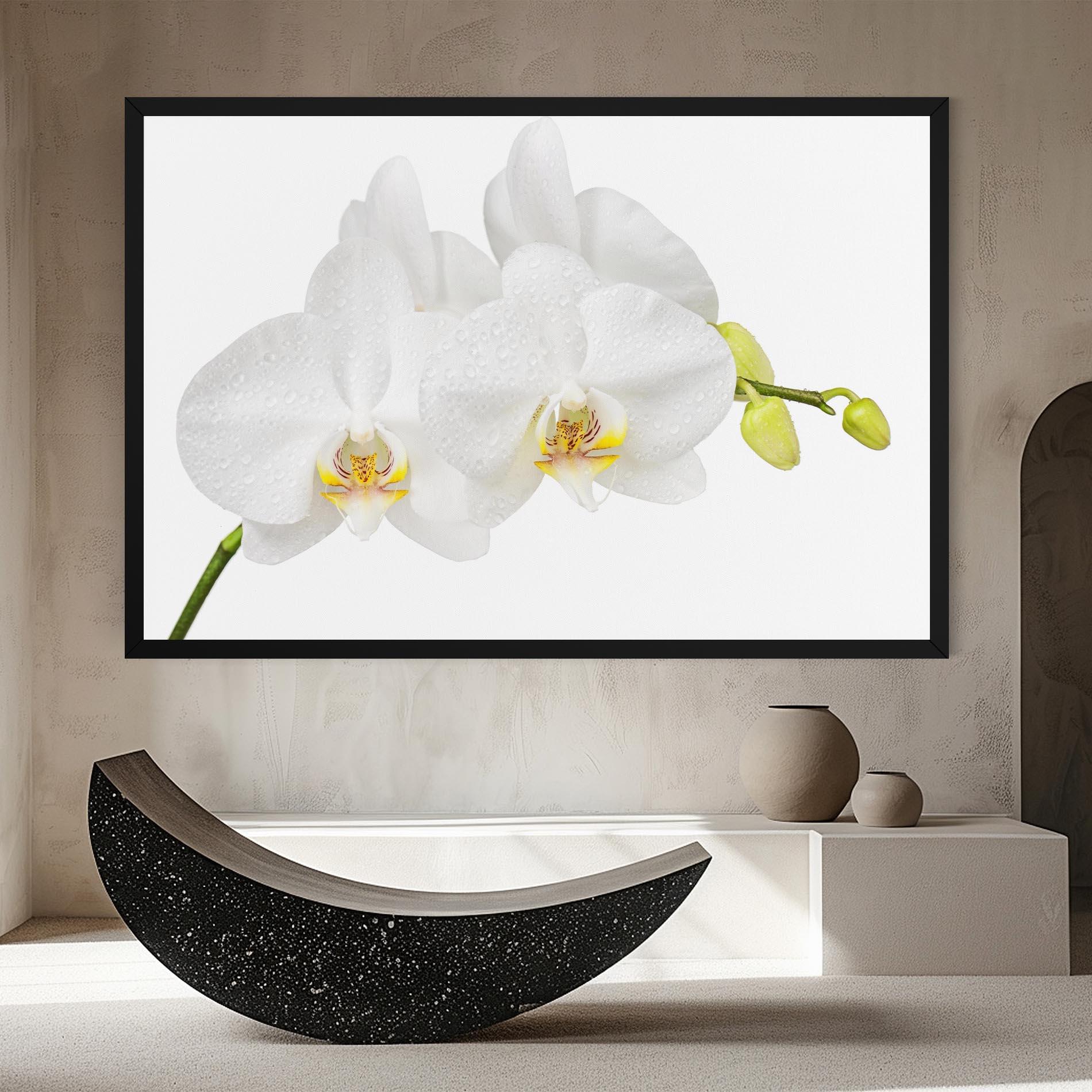 Tablou Canvas Orchids On White mockup 8