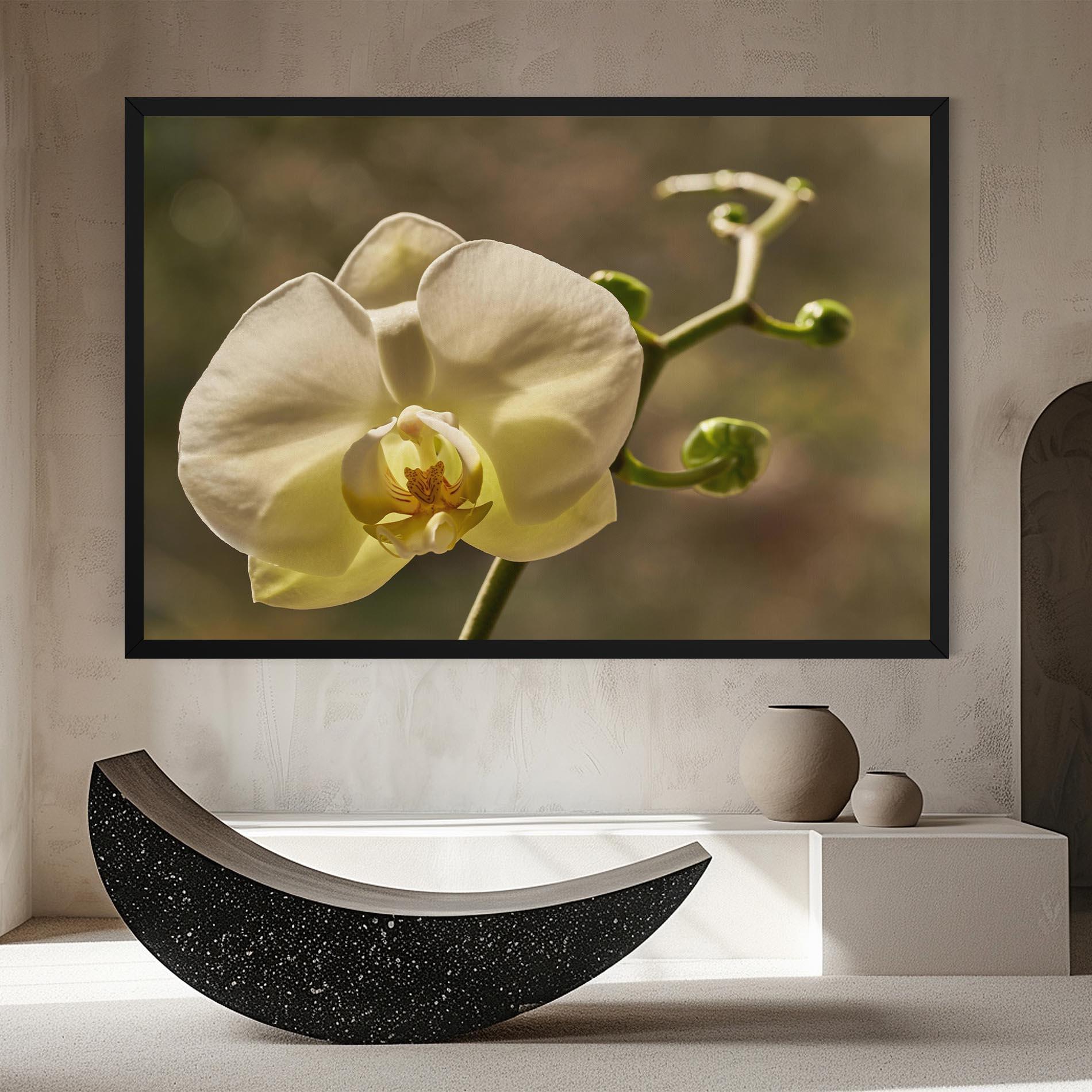 Tablou Canvas Pastel Yellow Orchid In Garden mockup 8