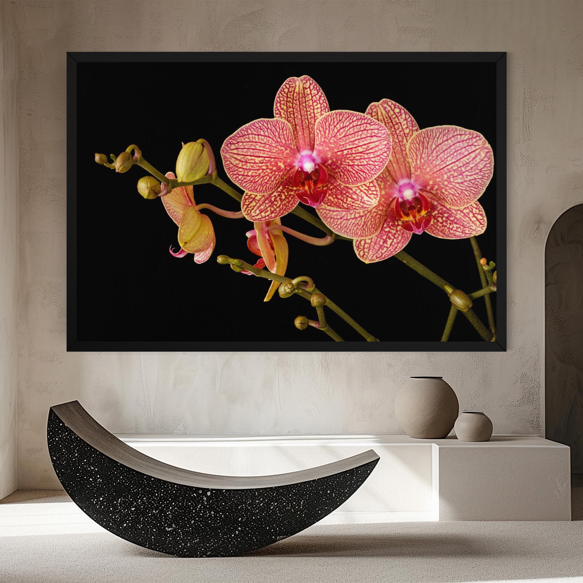 Tablou Canvas Pink Orchids On Black mockup 8