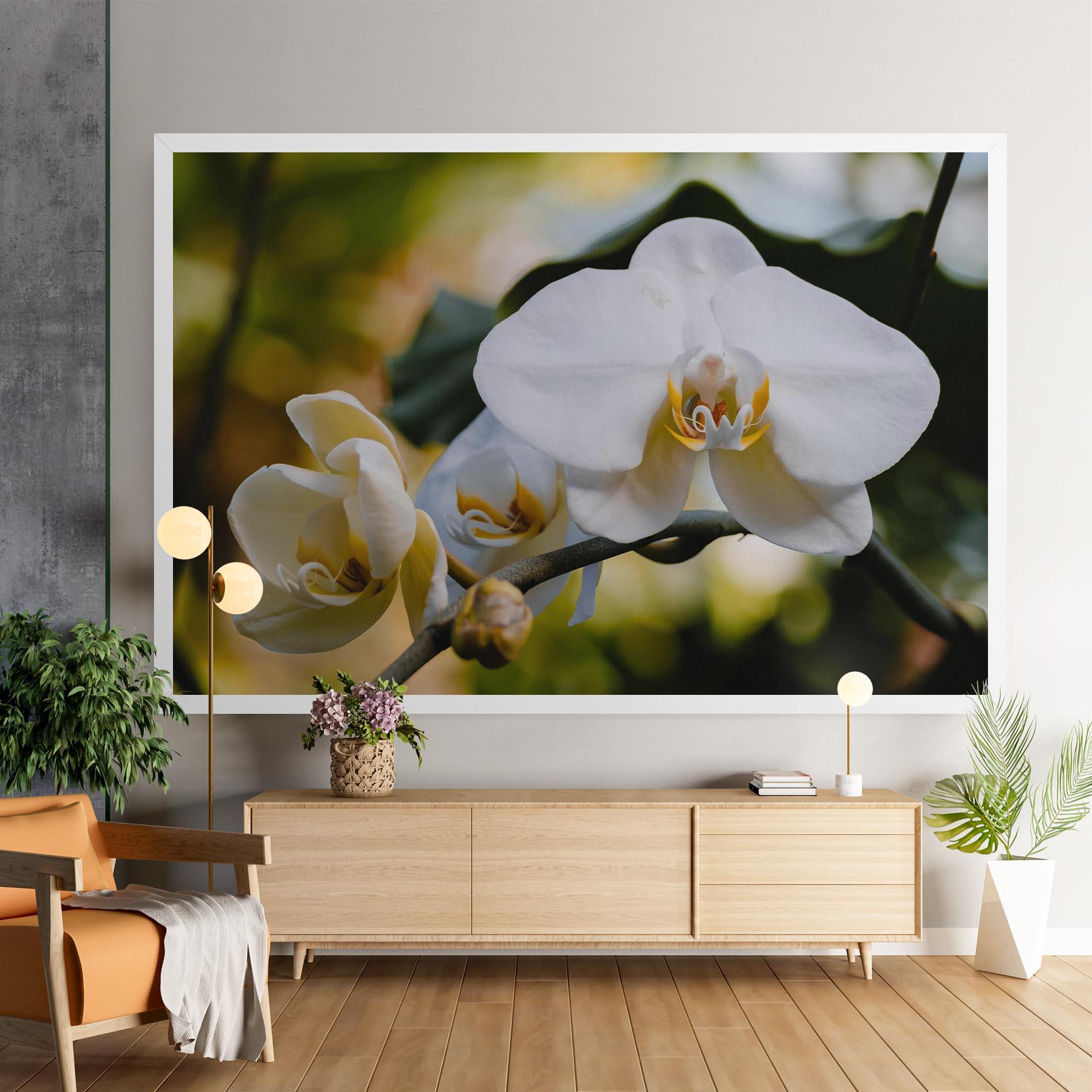 Tablou Canvas Cream Orchid In Nature mockup 9