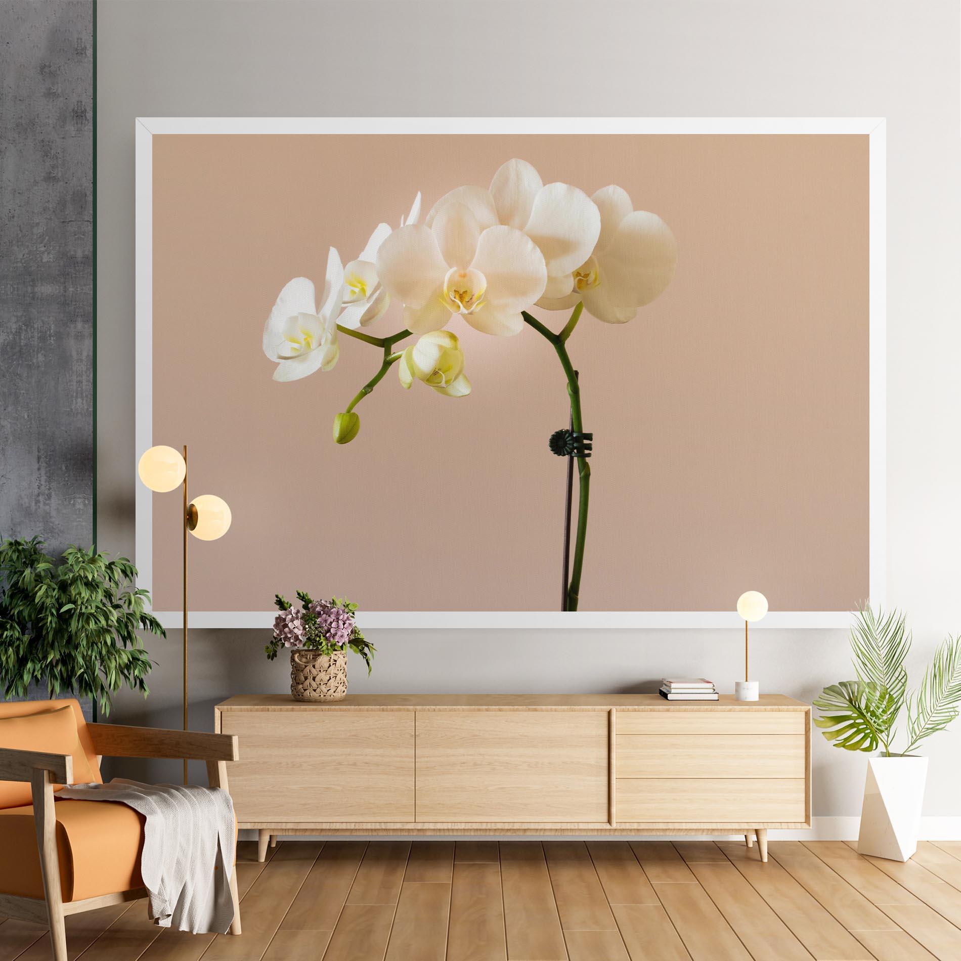Tablou Canvas Cream Orchid On Pink mockup 9