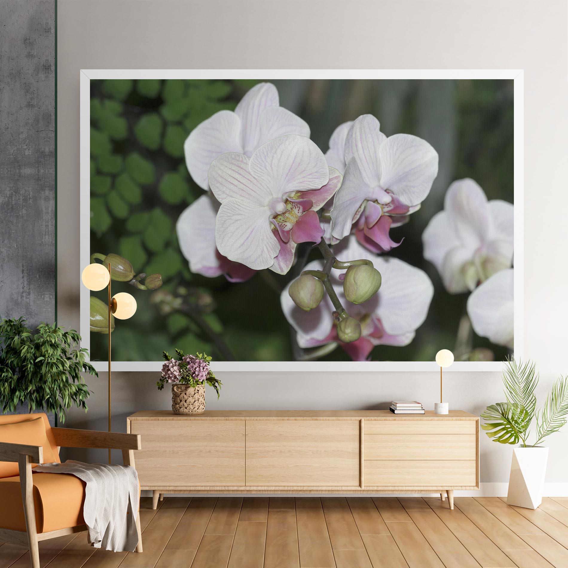 Tablou Canvas Orchid Botanical Garden mockup 9